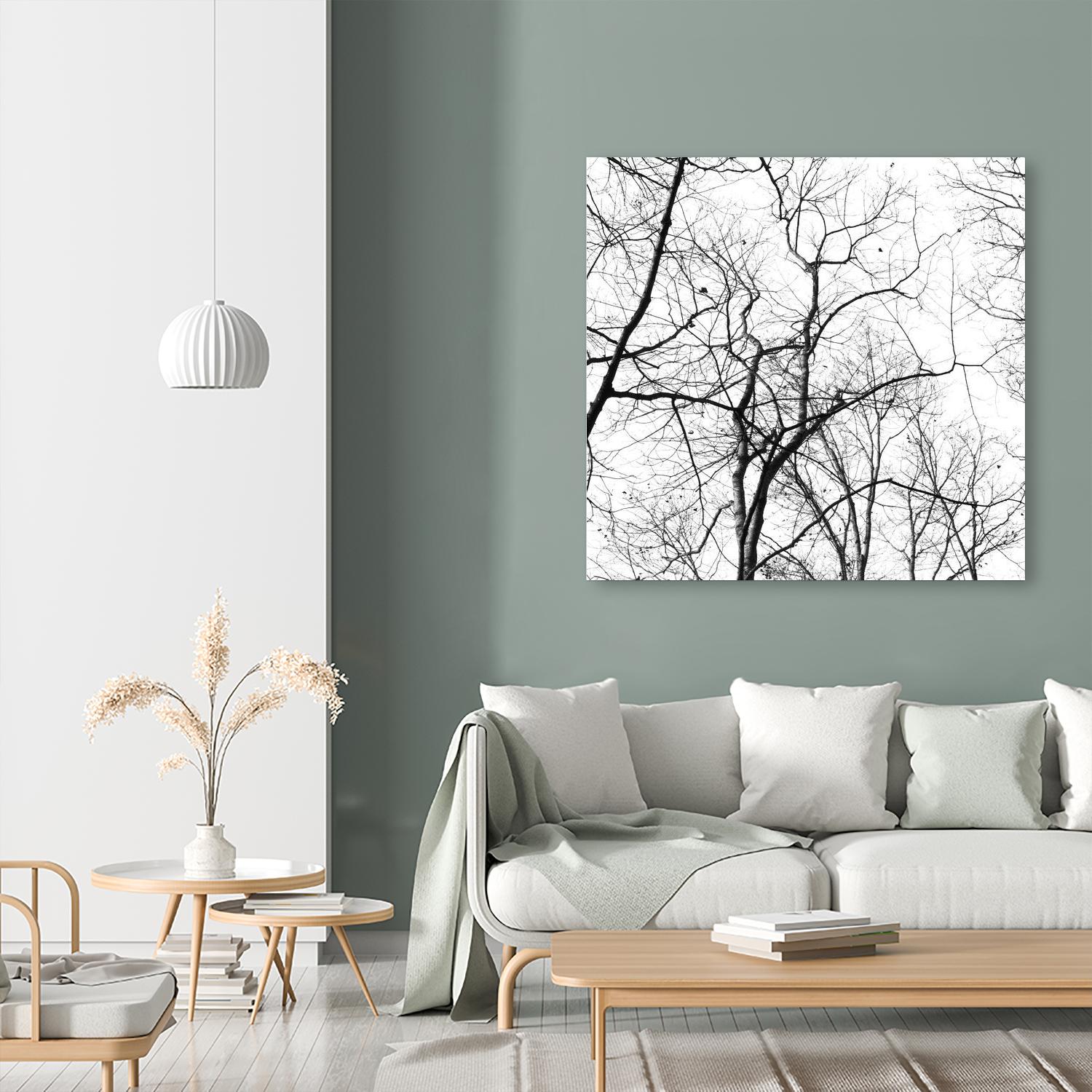 Billows I by Judy Stalus on GIANT ART - black trees