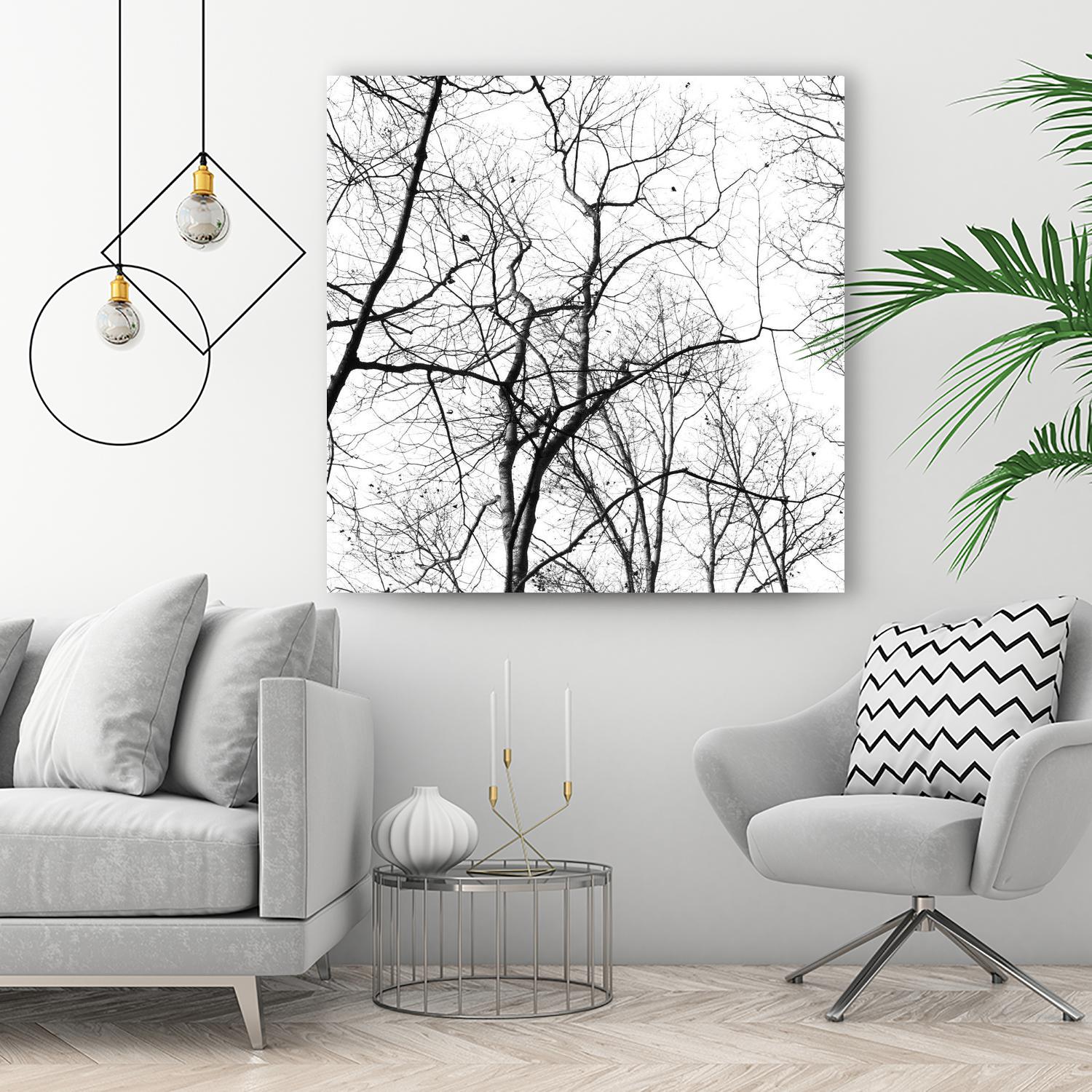 Billows I by Judy Stalus on GIANT ART - black trees