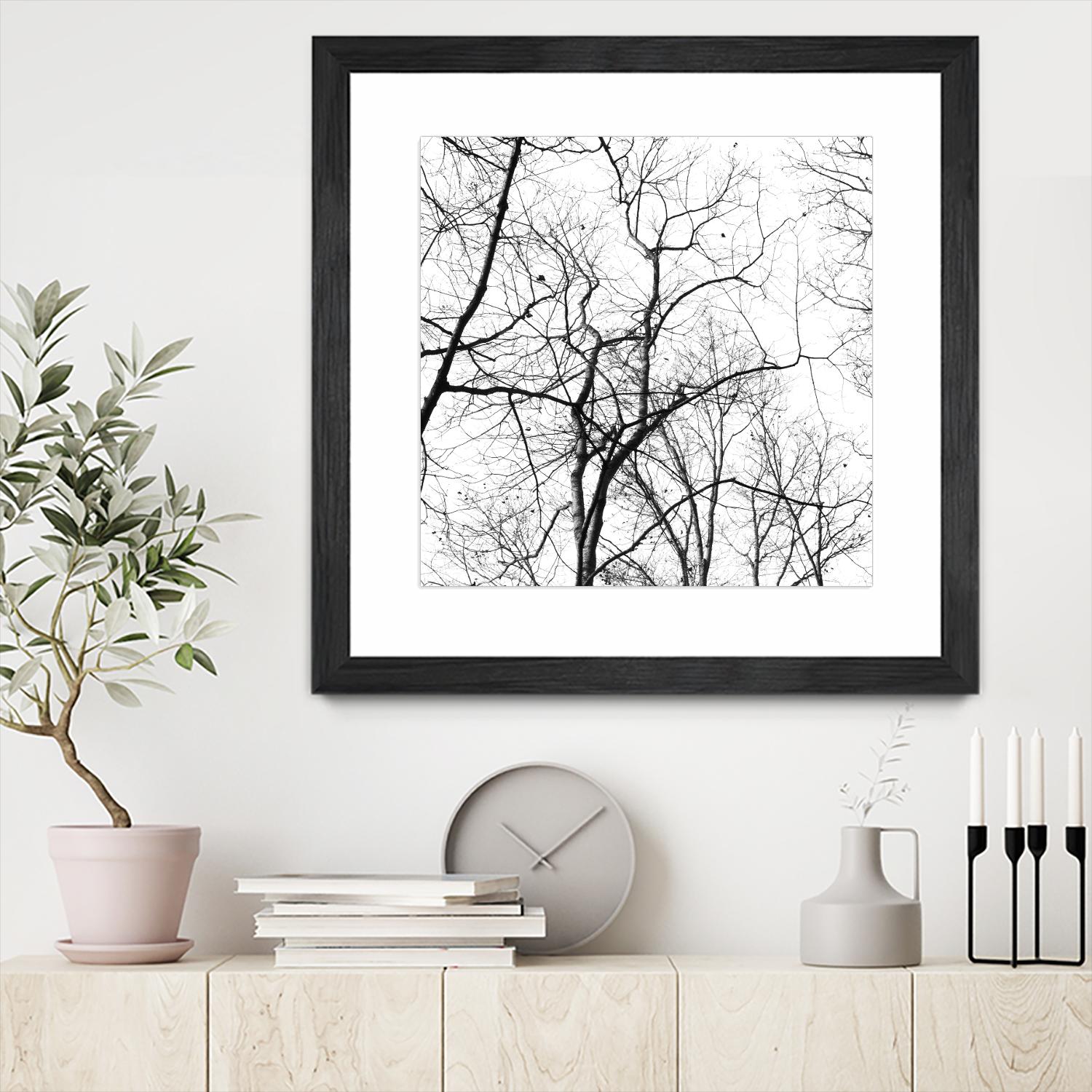 Billows I by Judy Stalus on GIANT ART - black trees