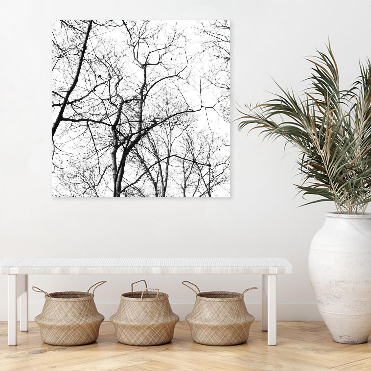 Billows I by Judy Stalus on GIANT ART - black trees