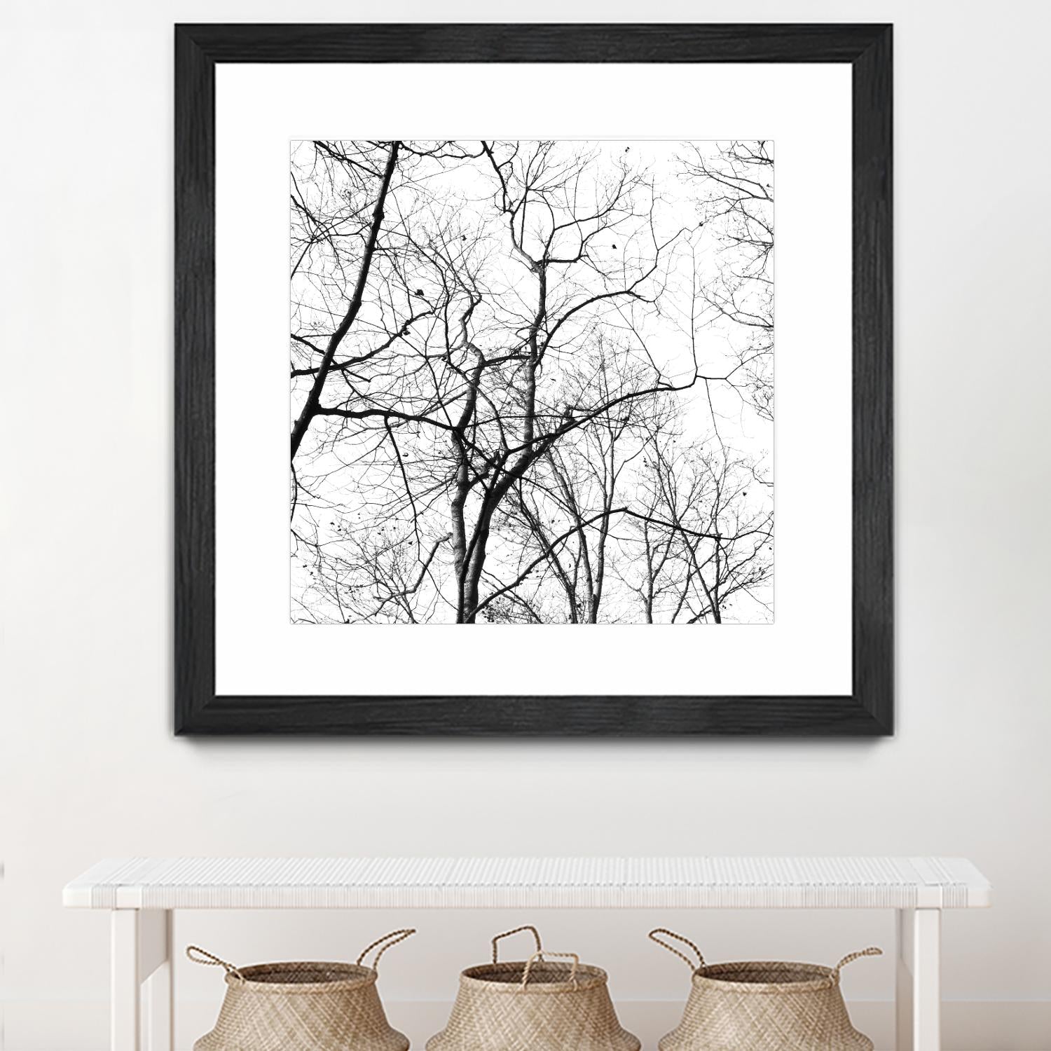 Billows I by Judy Stalus on GIANT ART - black trees