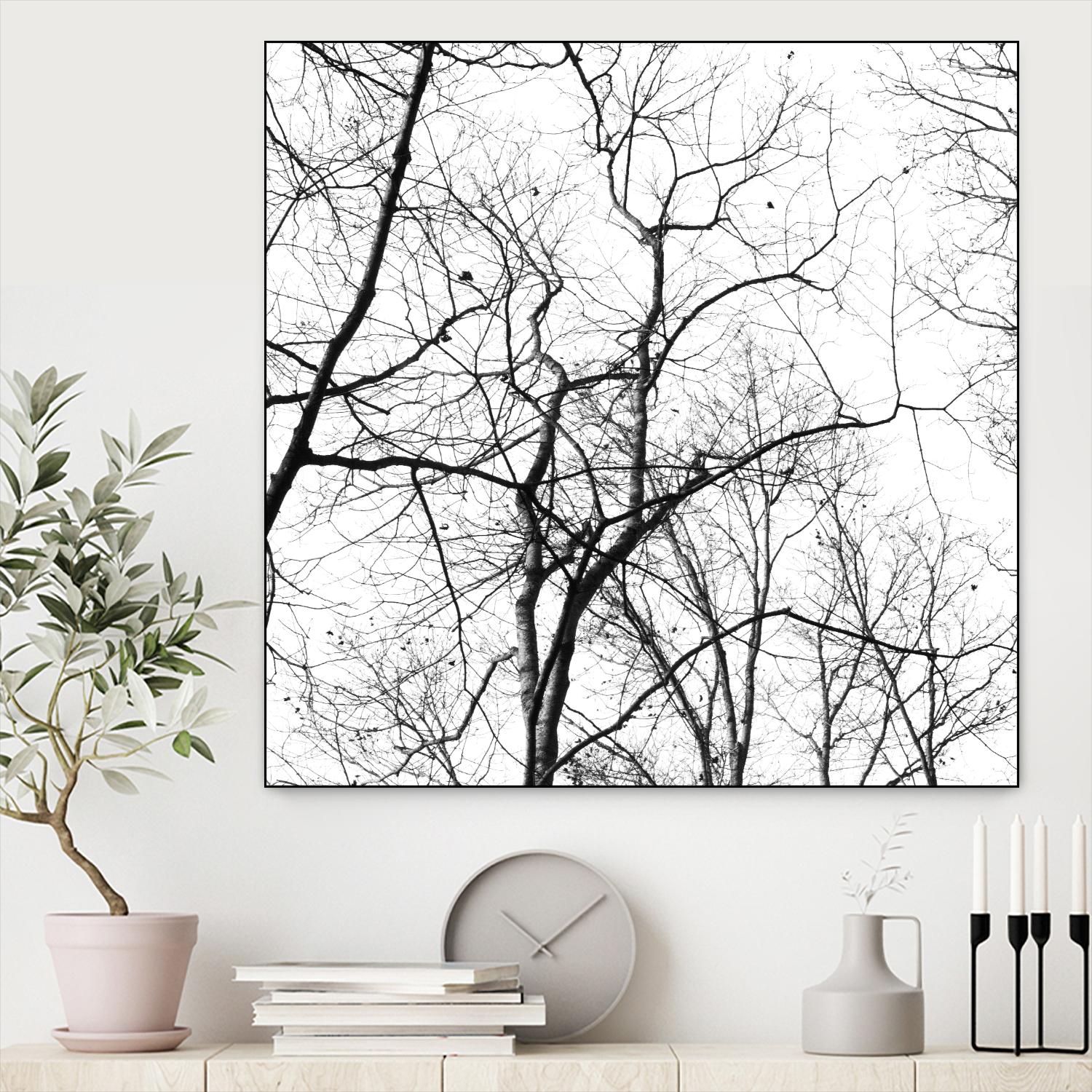 Billows I by Judy Stalus on GIANT ART - black trees