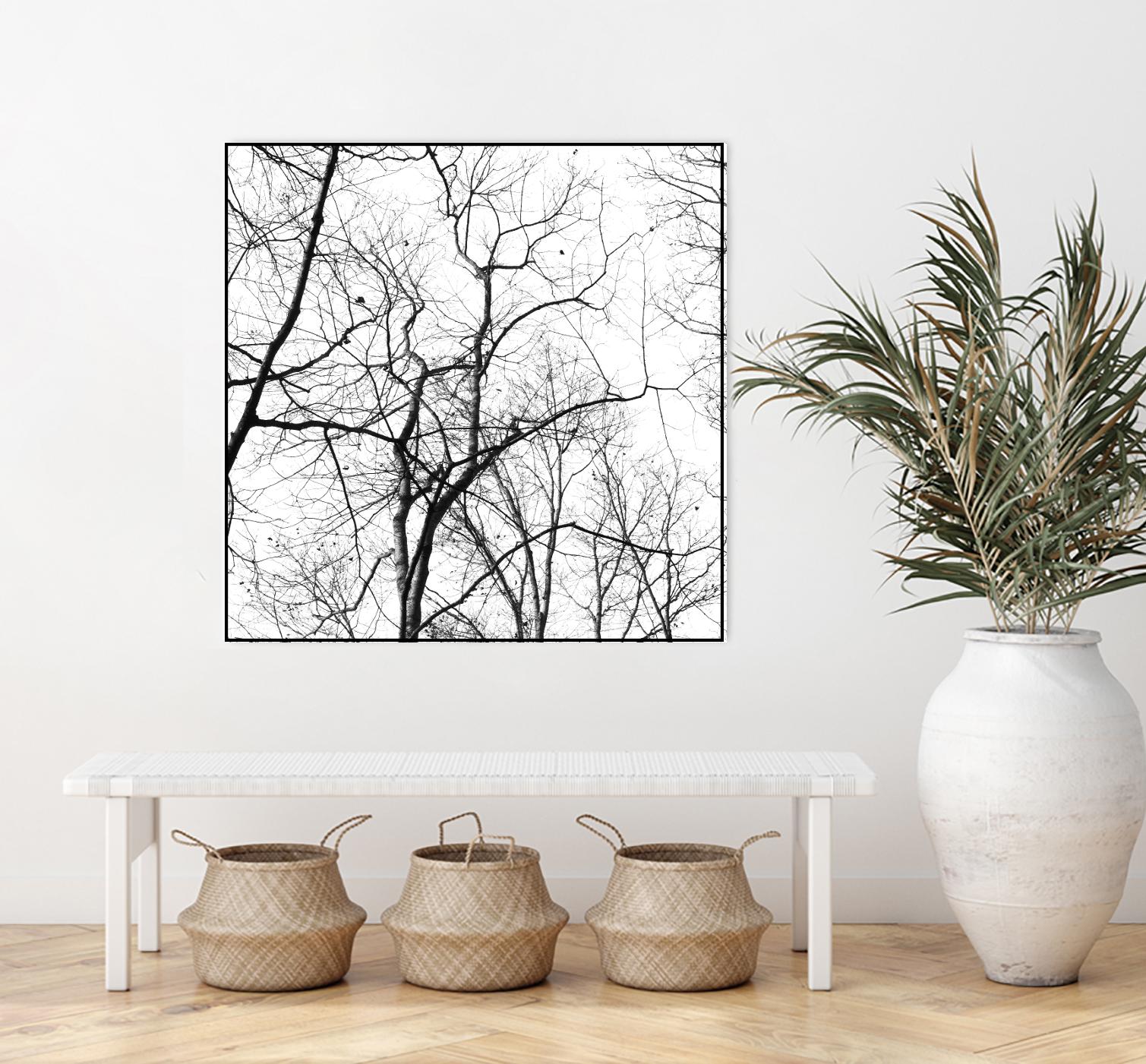 Billows I by Judy Stalus on GIANT ART - black trees