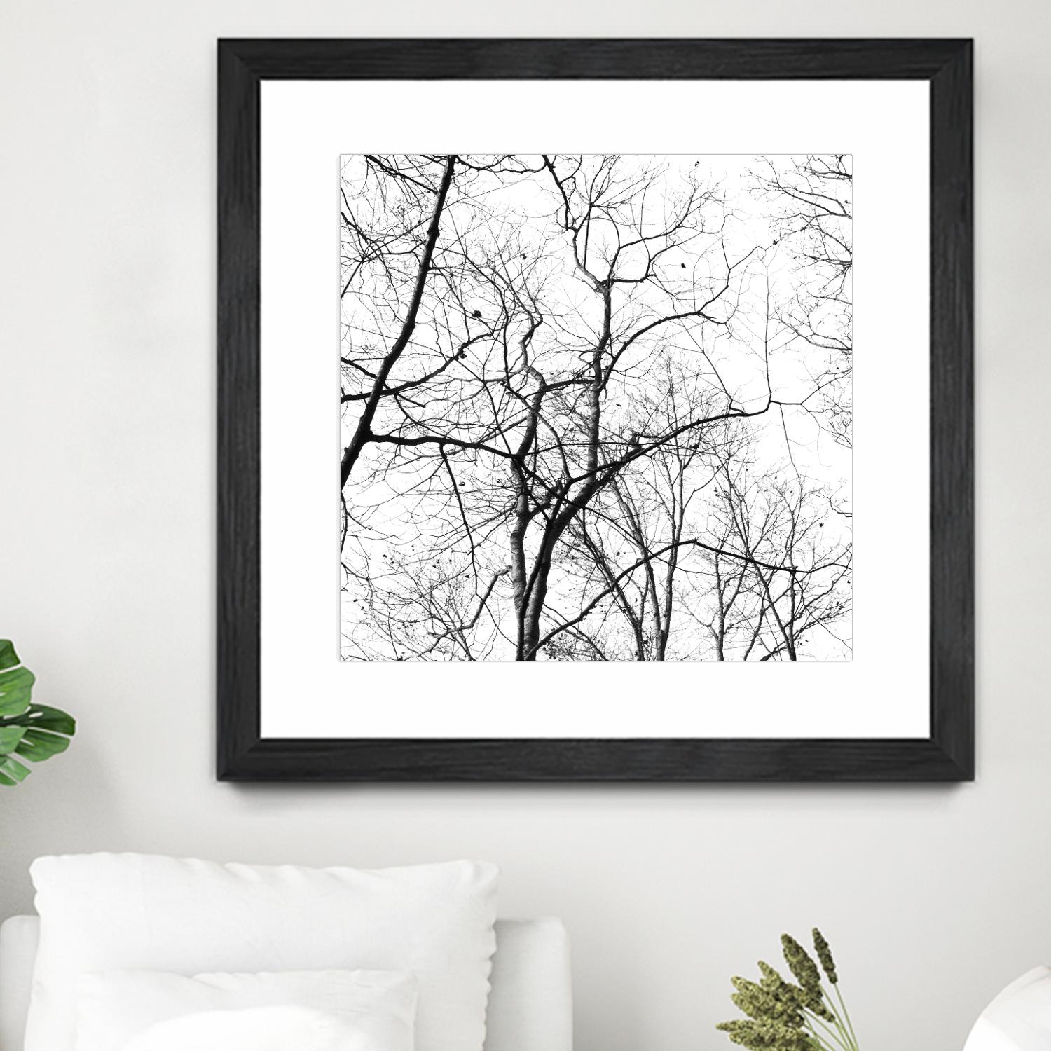 Billows I by Judy Stalus on GIANT ART - black trees