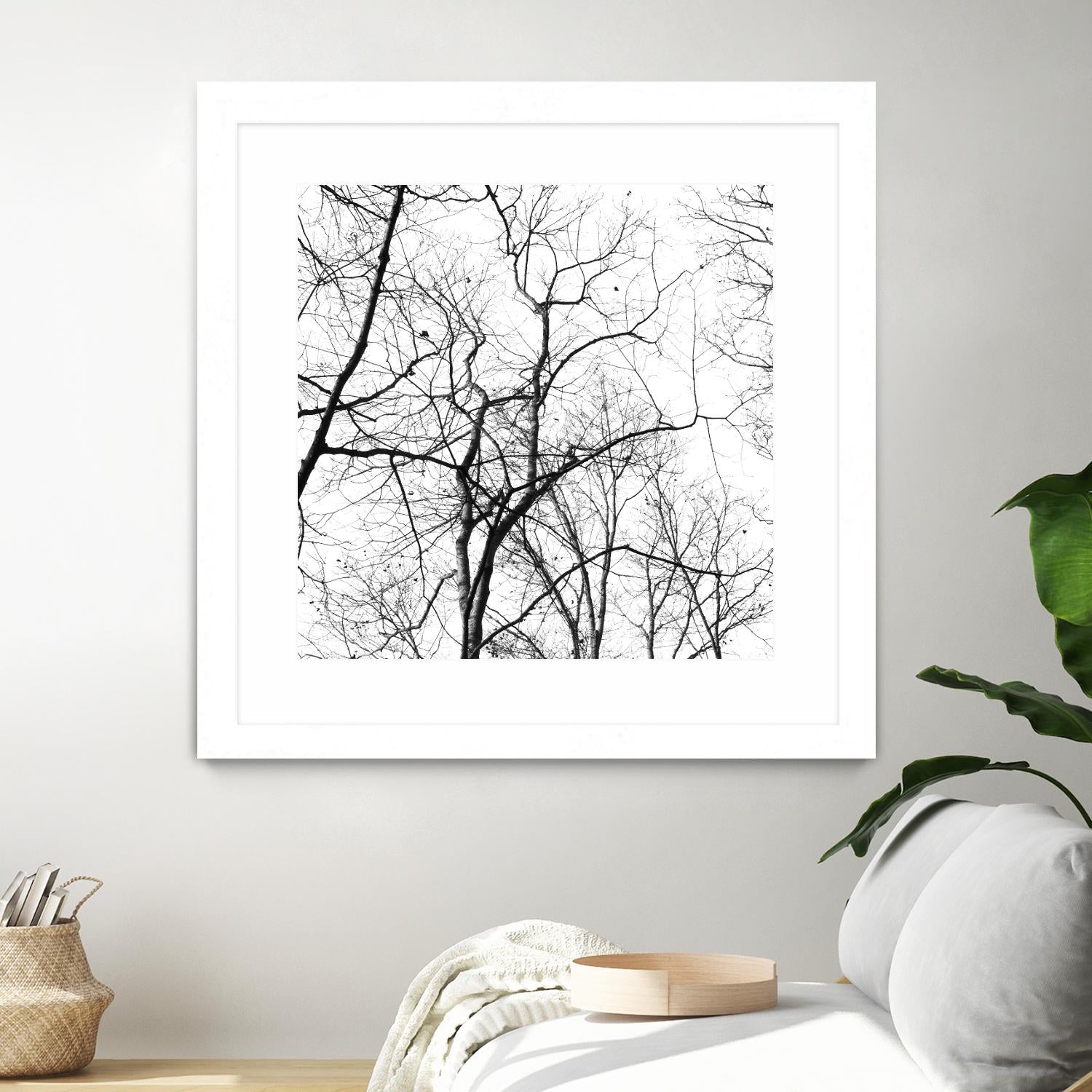 Billows I by Judy Stalus on GIANT ART - black trees