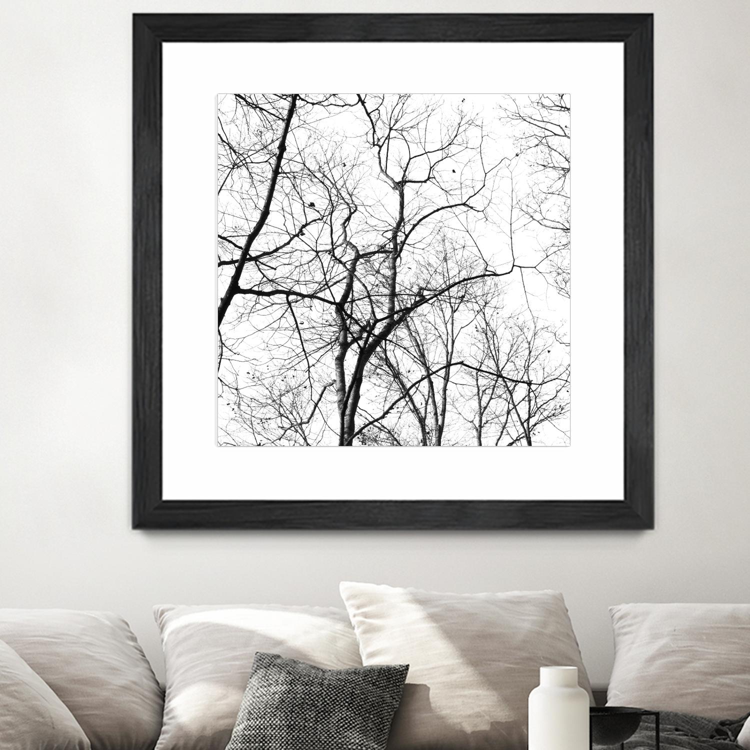 Billows I by Judy Stalus on GIANT ART - black trees