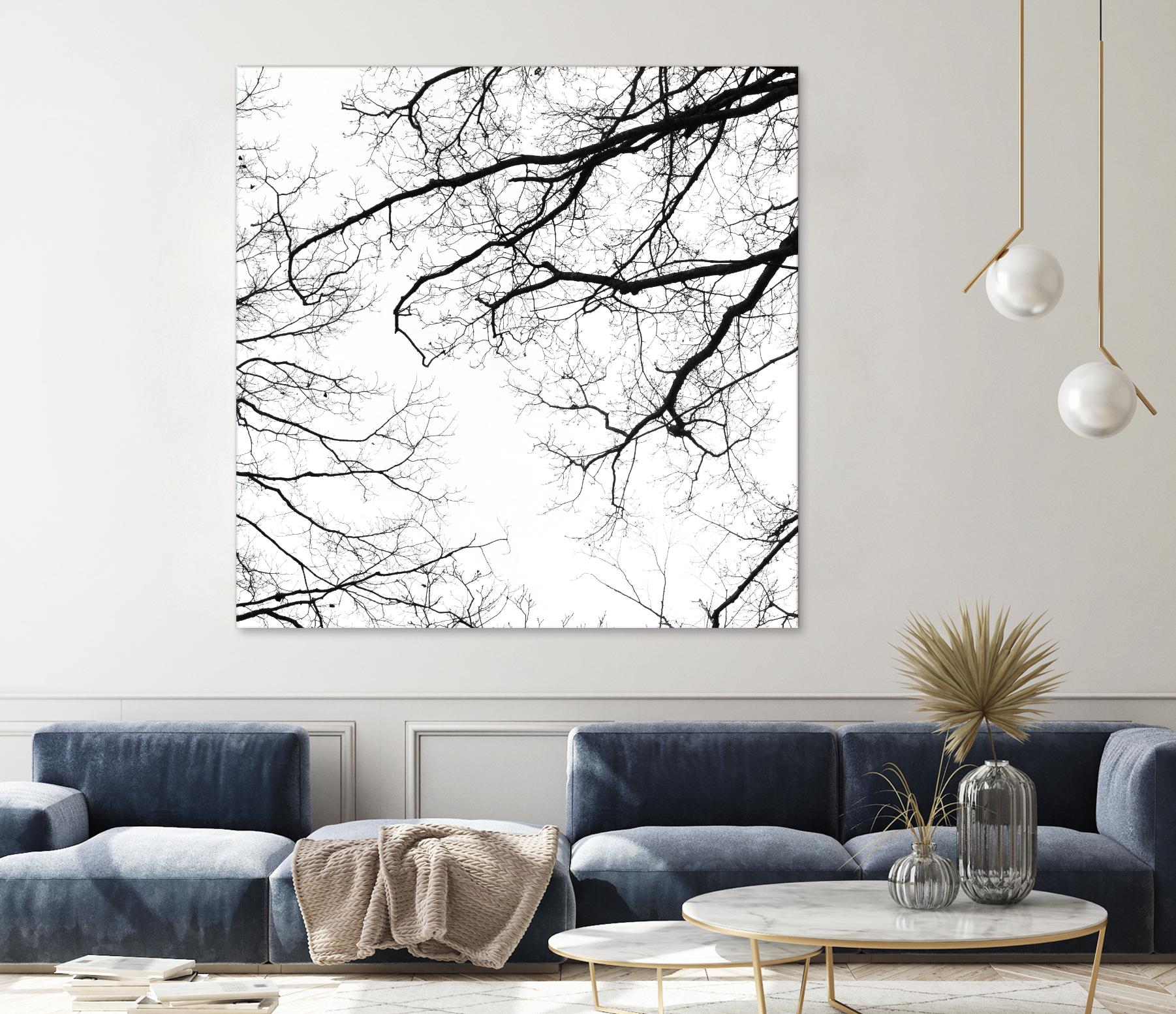 Billows II by Judy Stalus on GIANT ART - black trees
