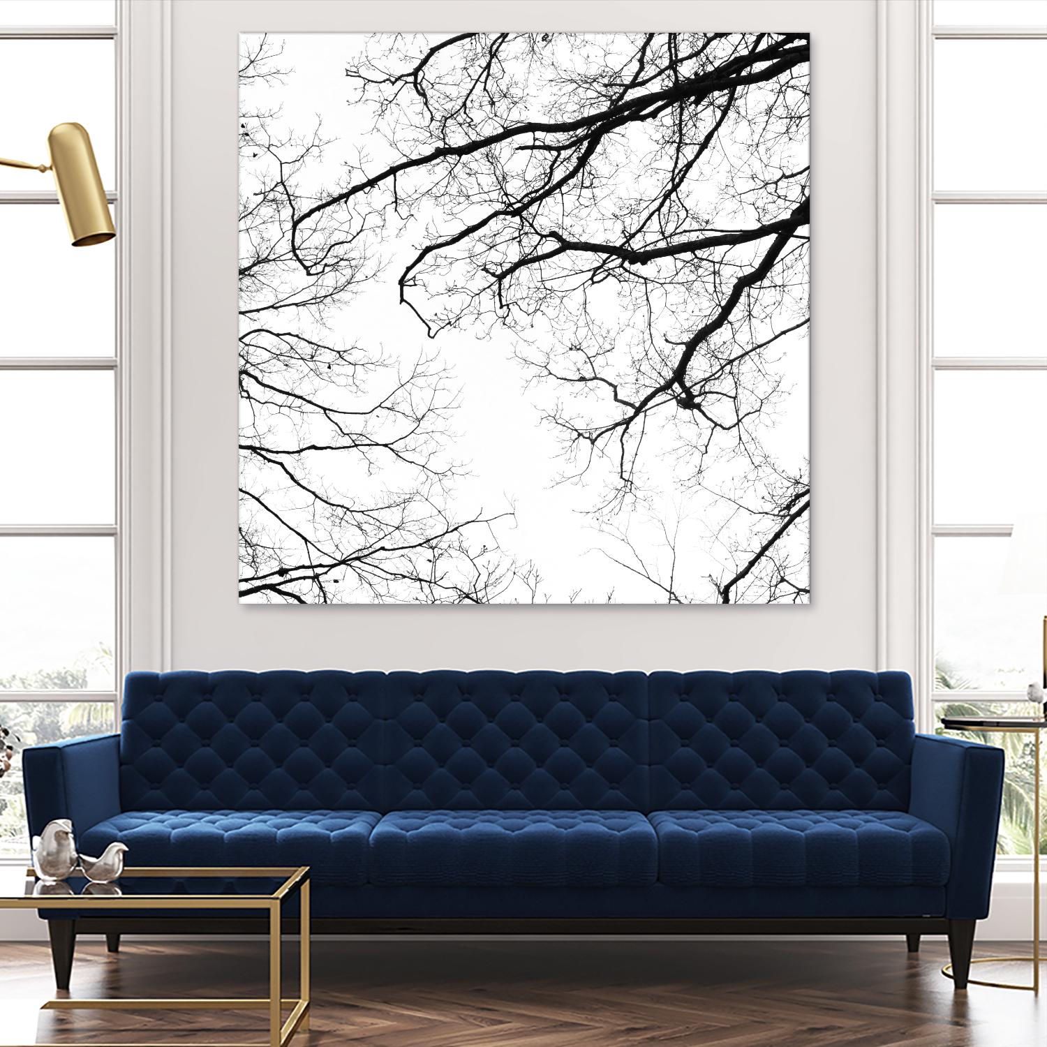 Billows II by Judy Stalus on GIANT ART - black trees