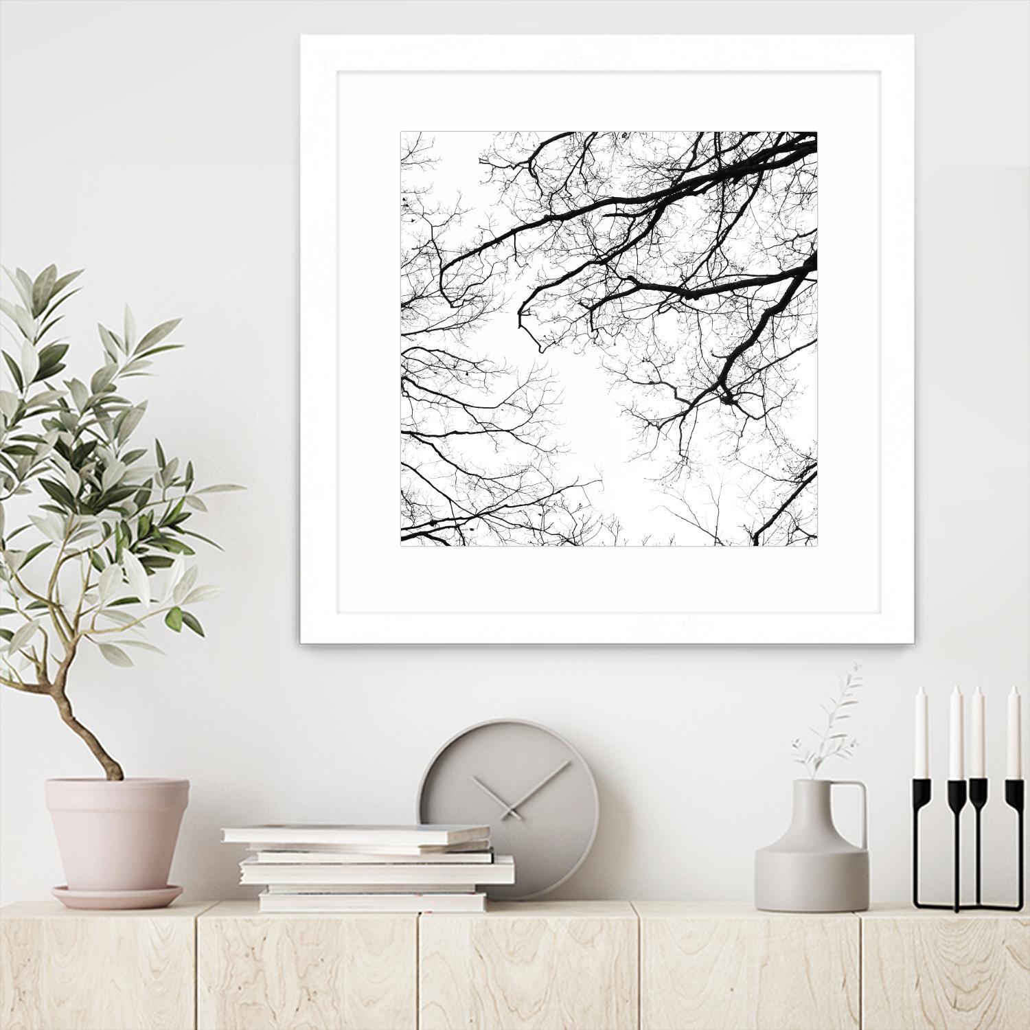 Billows II by Judy Stalus on GIANT ART - black trees