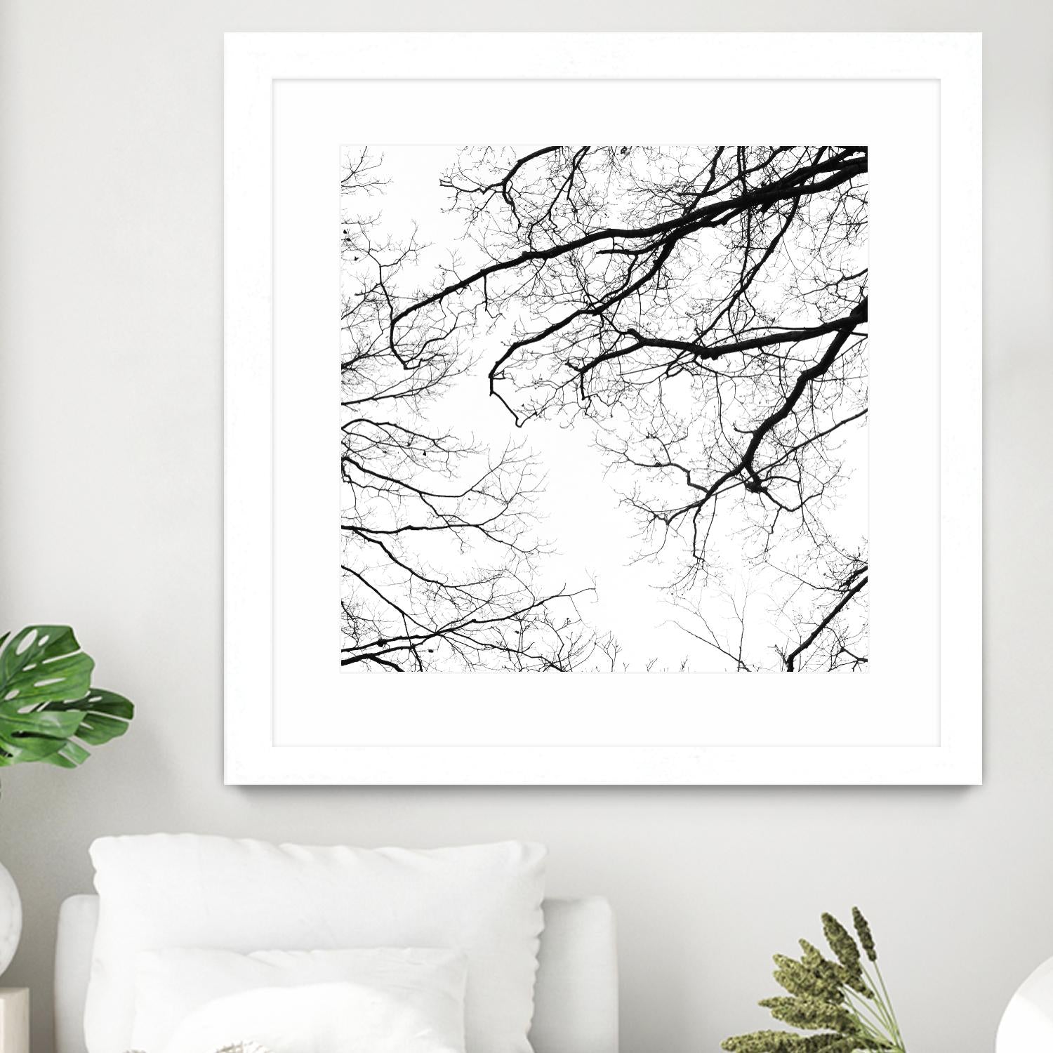 Billows II by Judy Stalus on GIANT ART - black trees