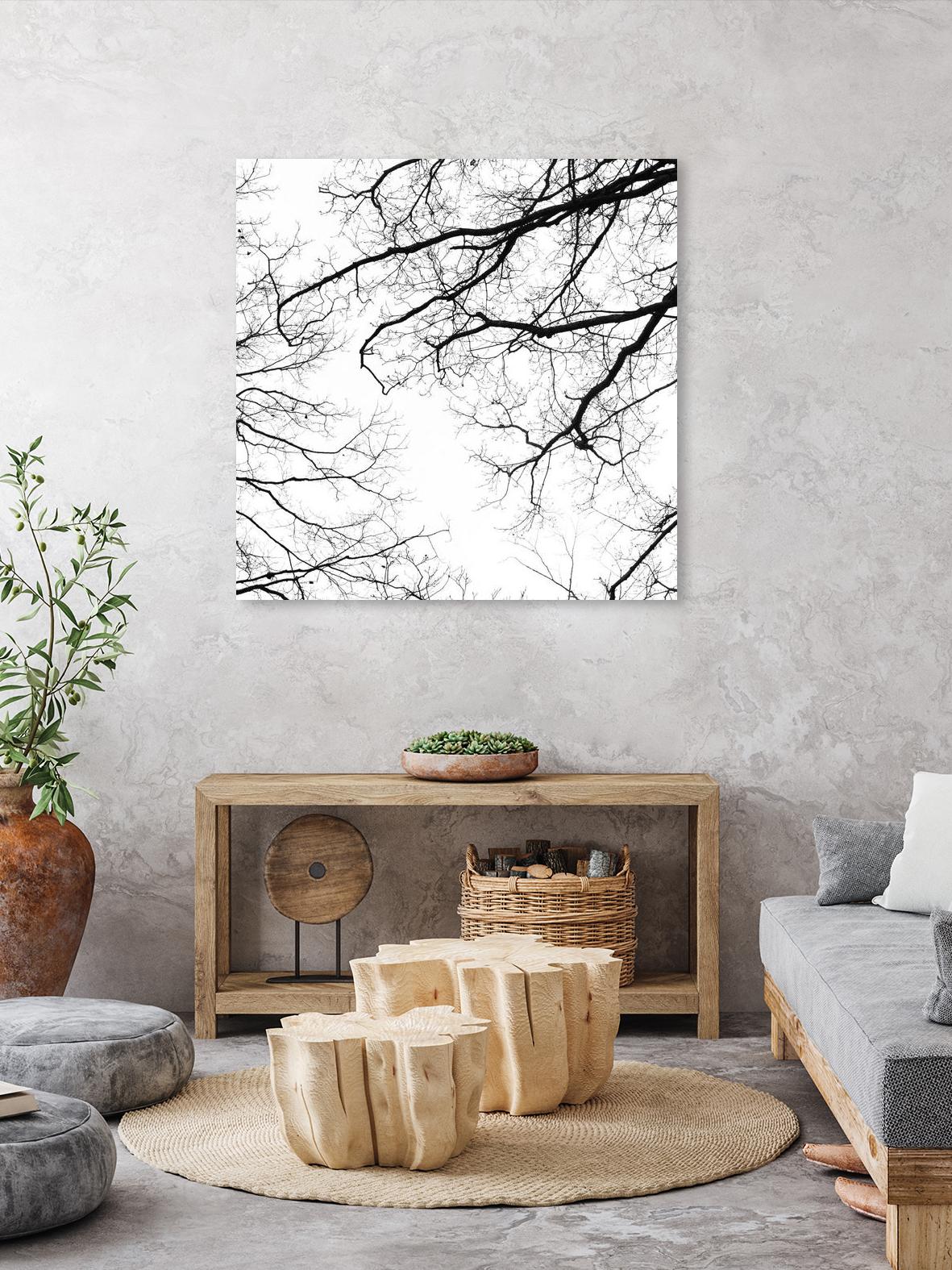 Billows II by Judy Stalus on GIANT ART - black trees