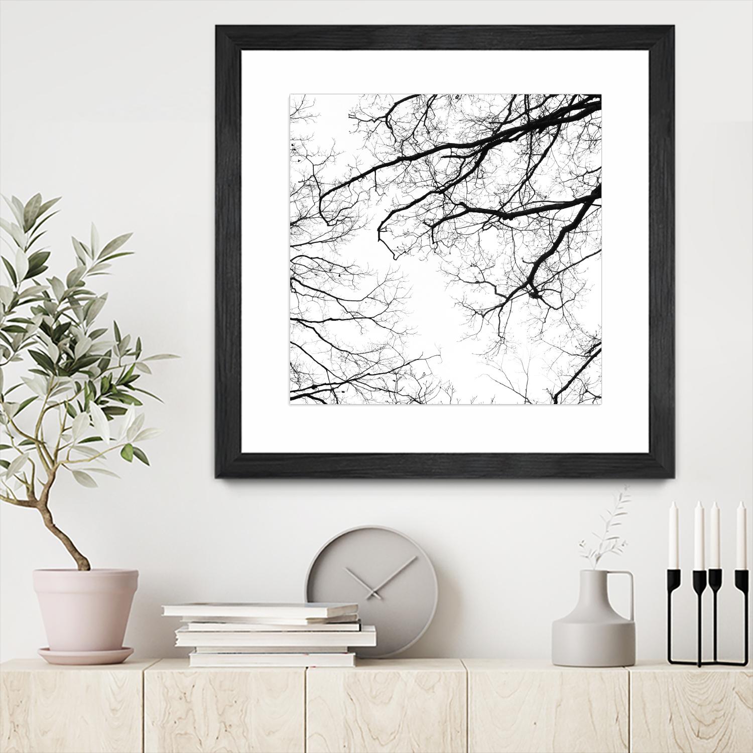 Billows II by Judy Stalus on GIANT ART - black trees