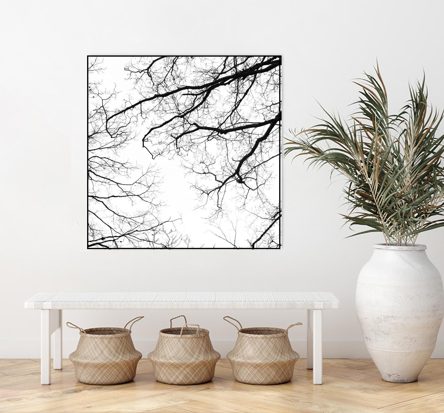 Billows II by Judy Stalus on GIANT ART - black trees