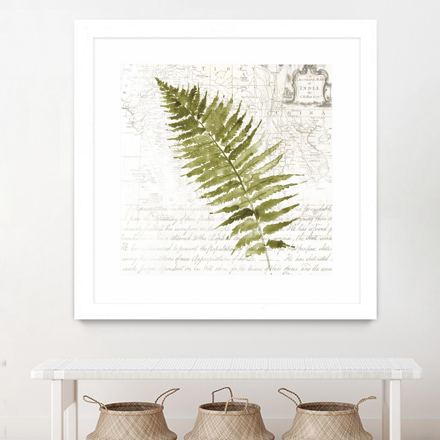 Fern II by Asia Jensen on GIANT ART - green botany