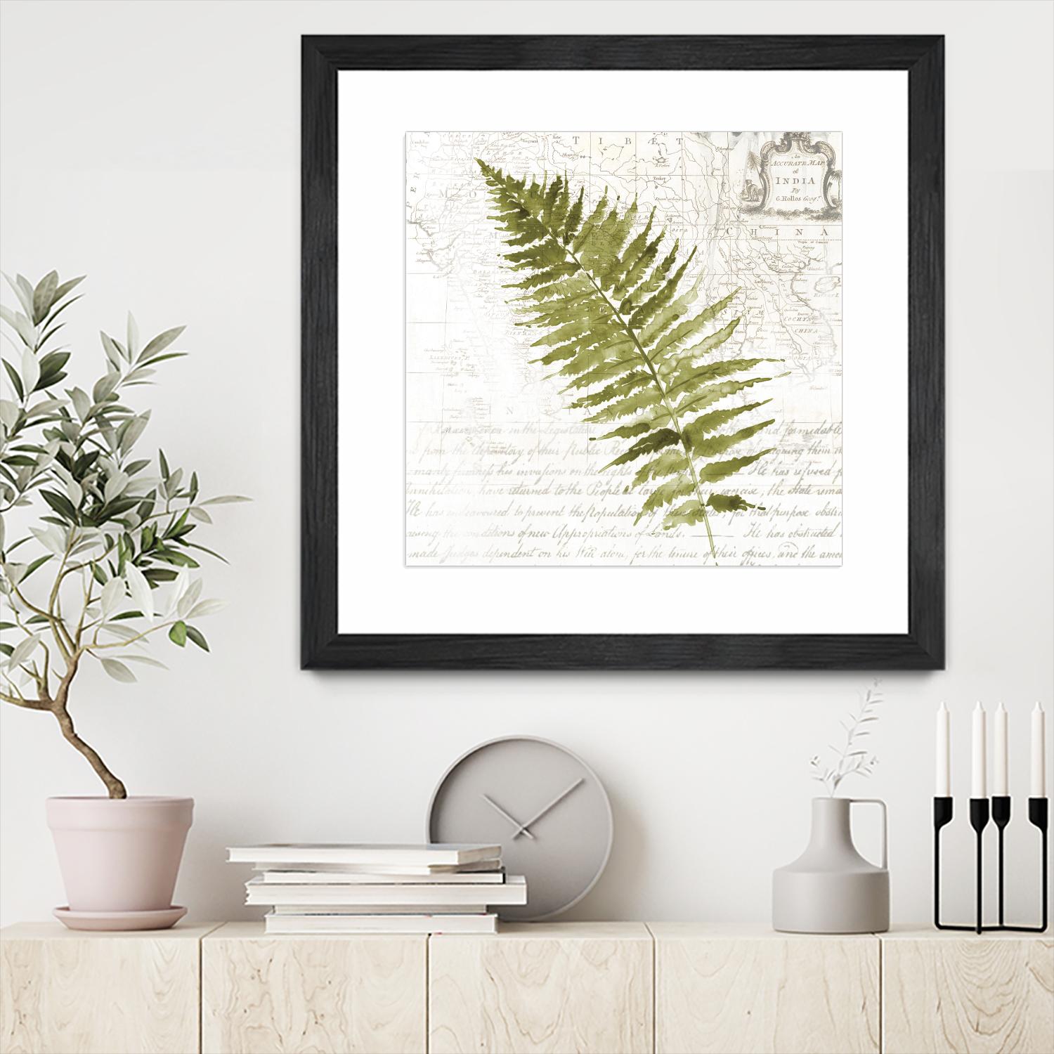 Fern II by Asia Jensen on GIANT ART - green botany