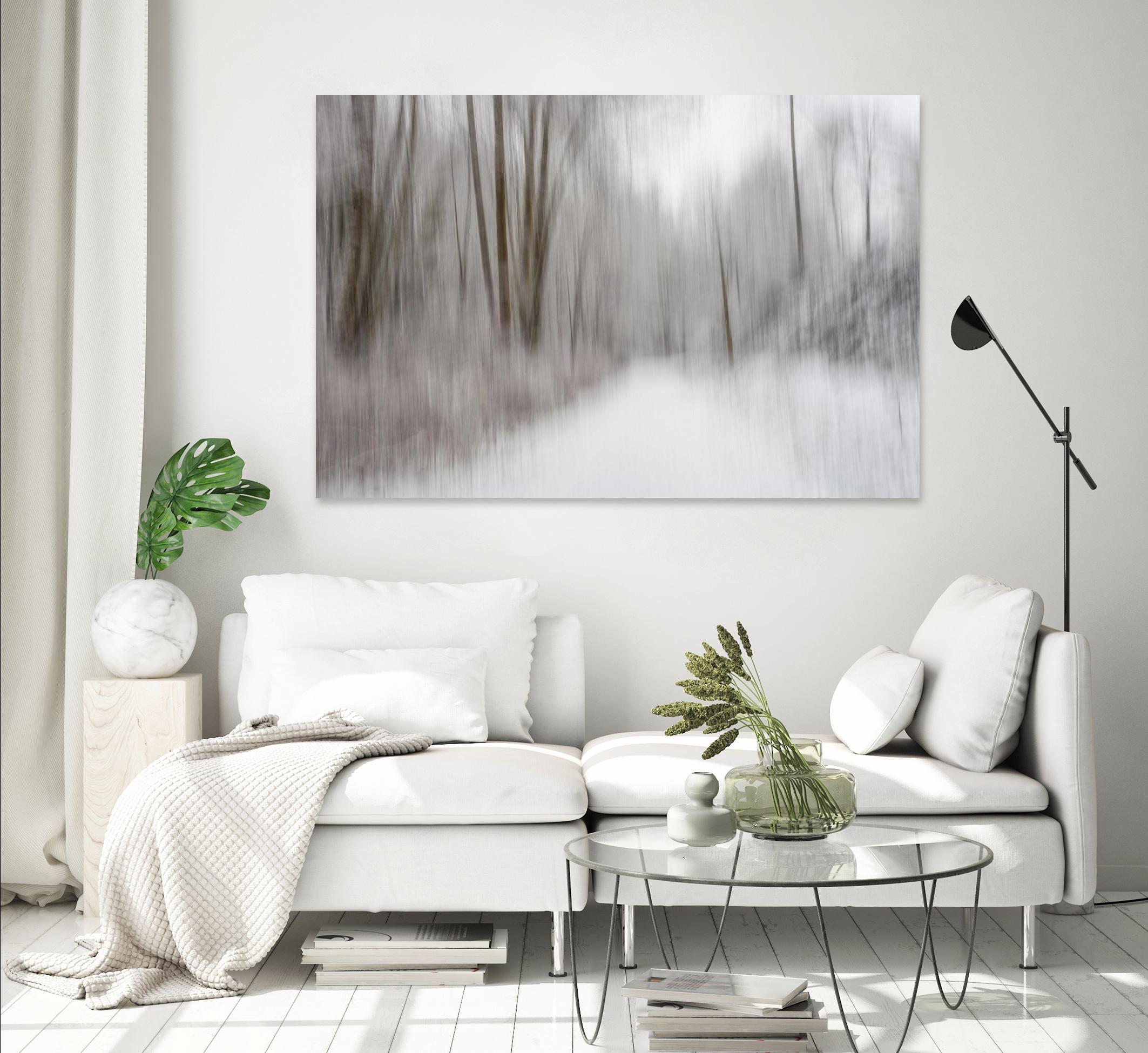 Foggy Lichen II by Norm Stelfox on GIANT ART - brown trees