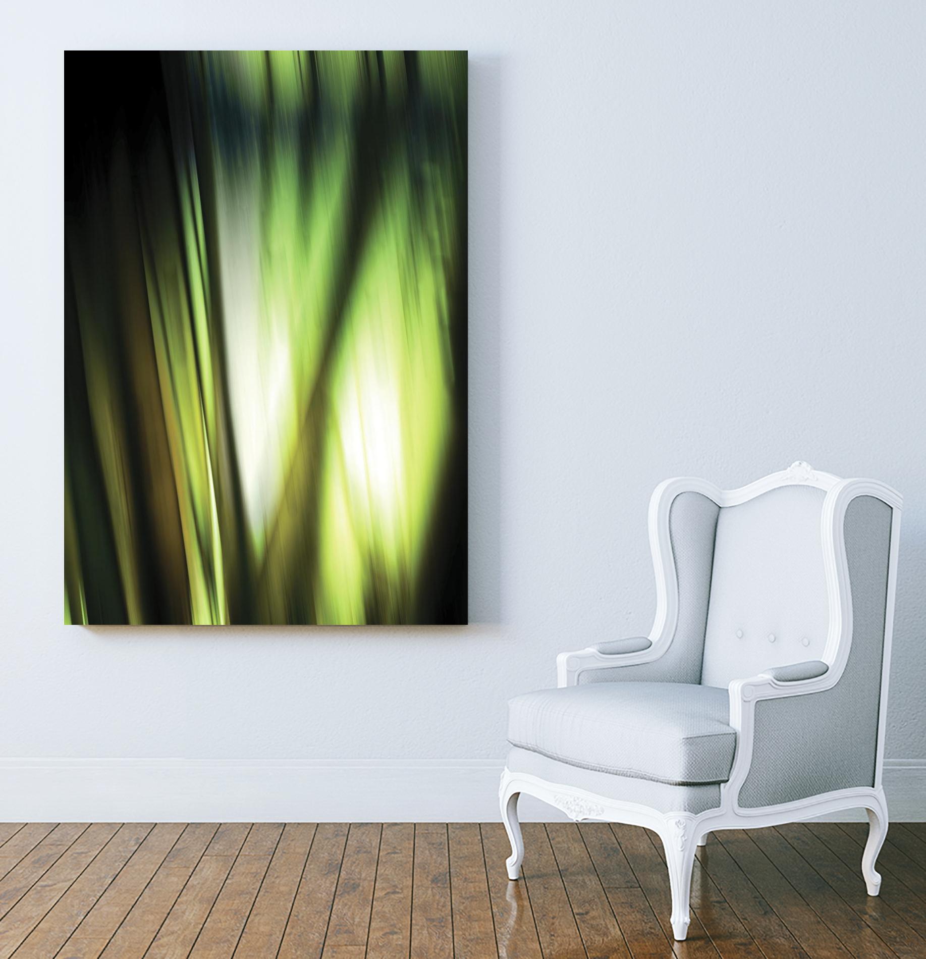 Organic I by PI Studio on GIANT ART - black photo art