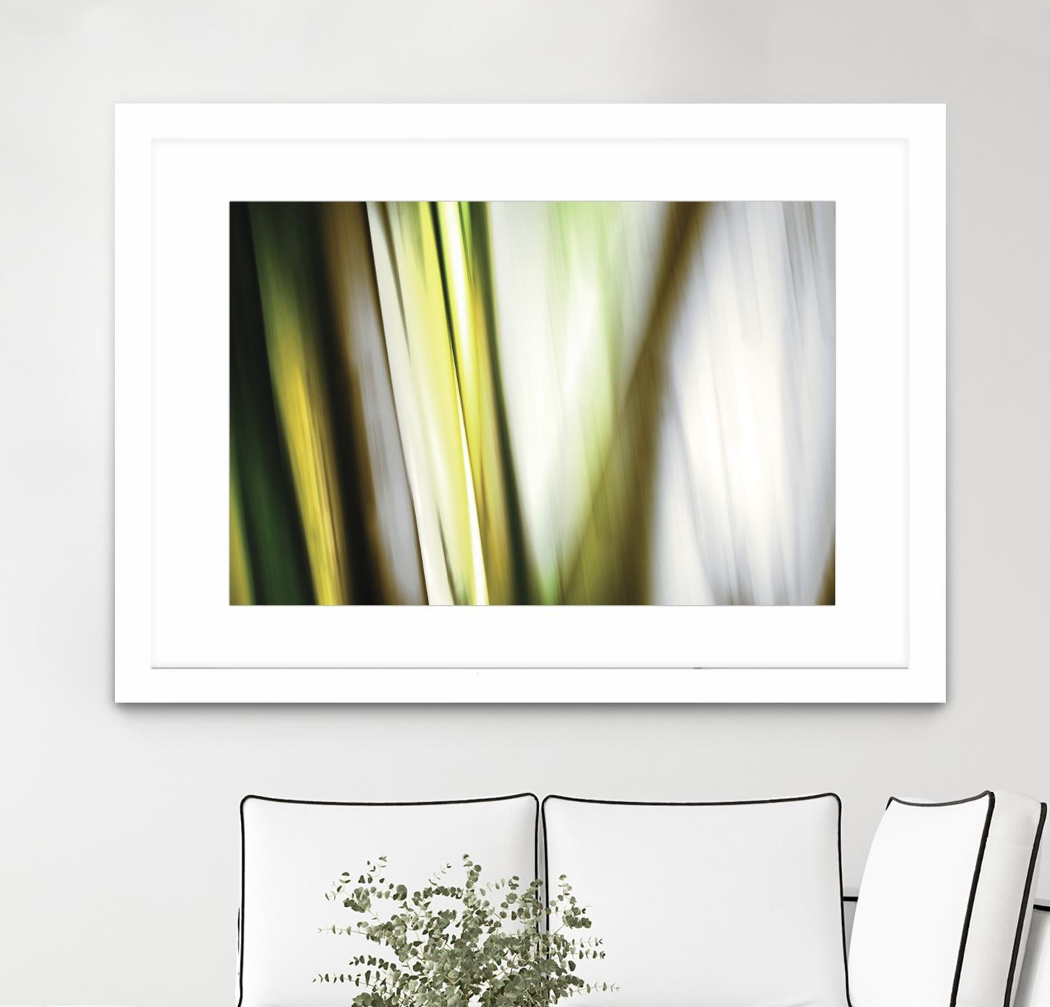 Organic II by PI Studio on GIANT ART - white photo art