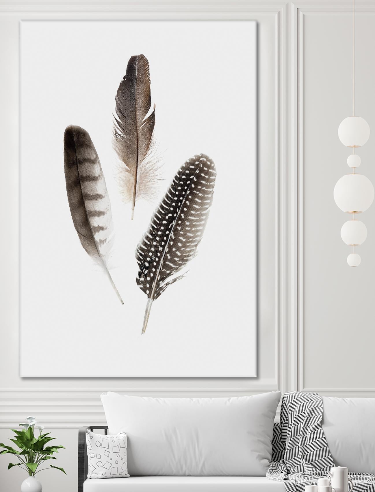 Feathers I by PI Studio on GIANT ART - brown animals