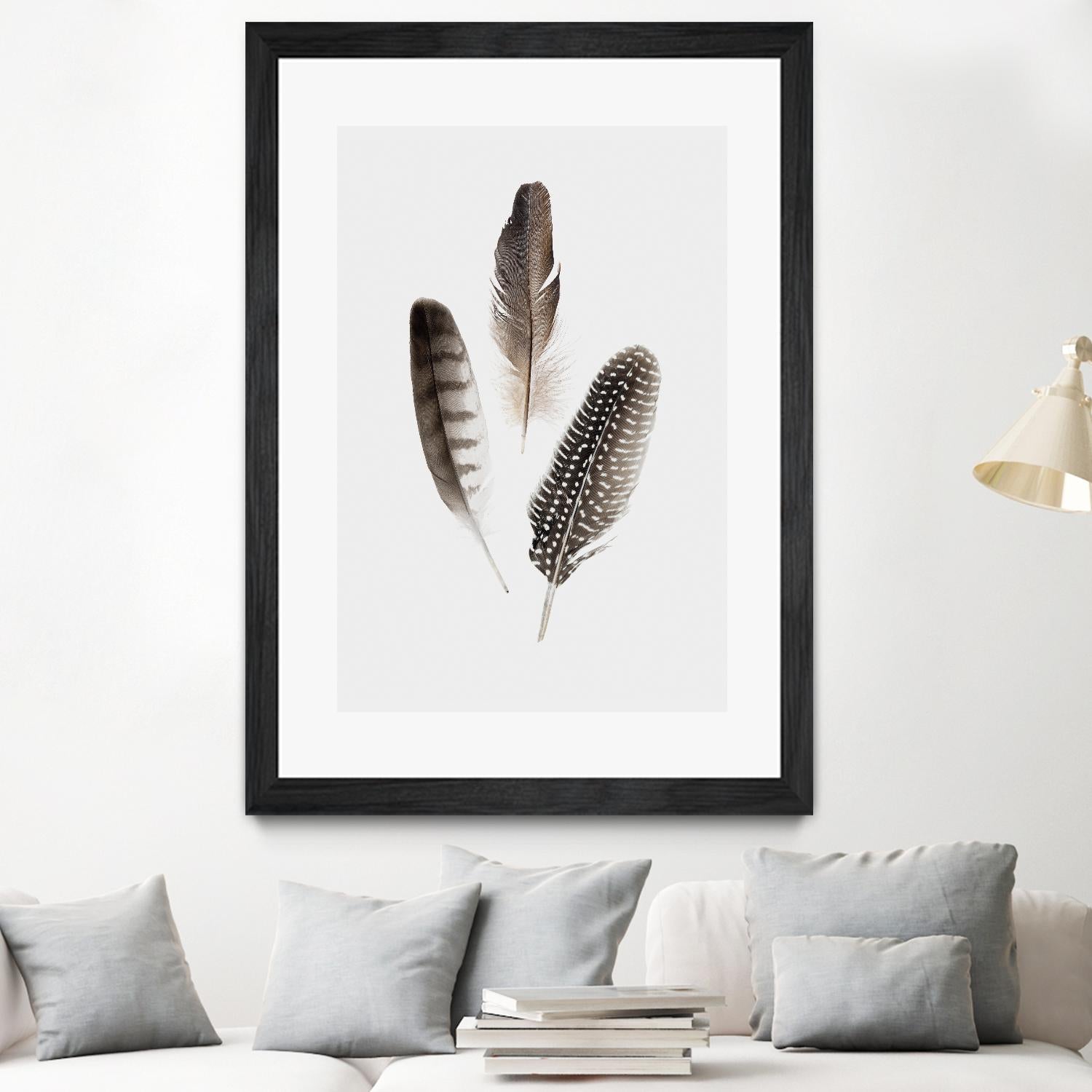 Feathers I by PI Studio on GIANT ART - brown animals