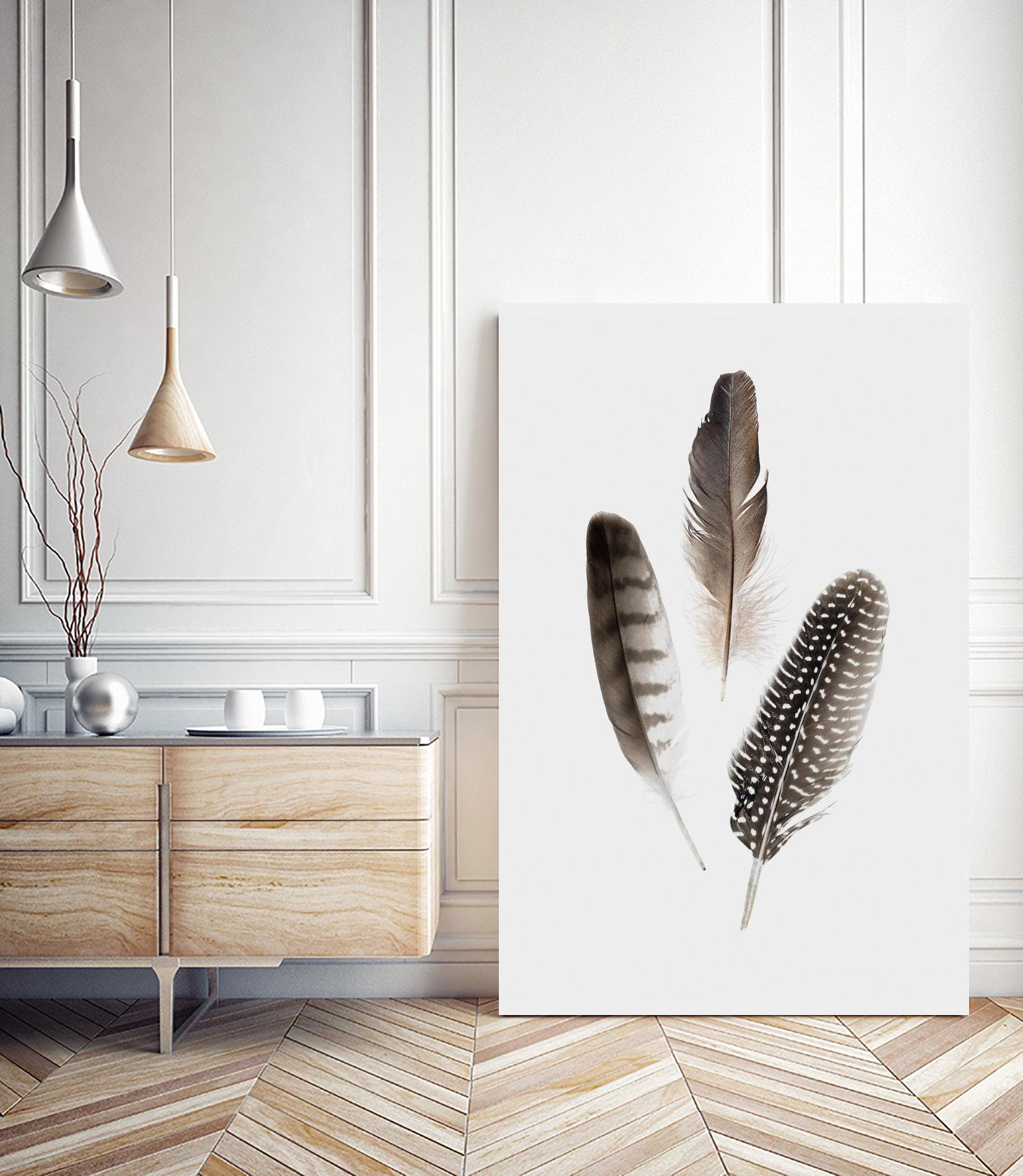 Feathers I by PI Studio on GIANT ART - brown animals
