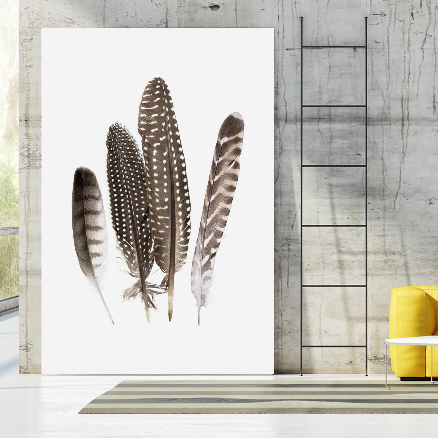 Feathers II by PI Studio on GIANT ART - brown animals