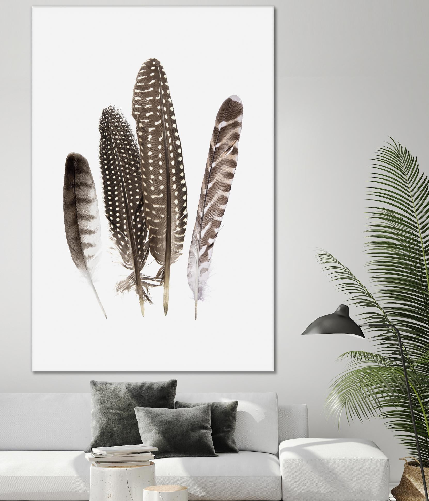 Feathers II by PI Studio on GIANT ART - brown animals