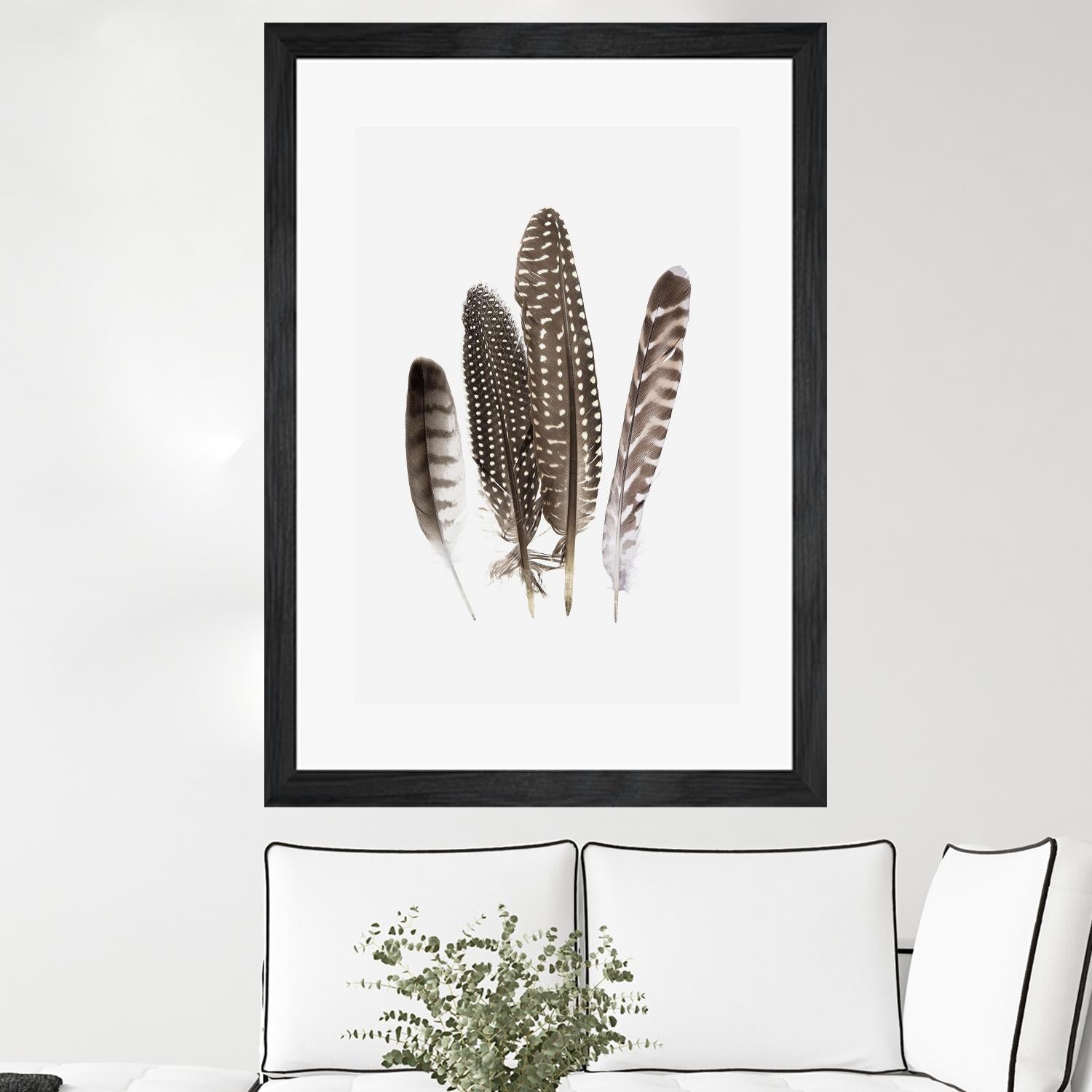 Feathers II by PI Studio on GIANT ART - brown animals