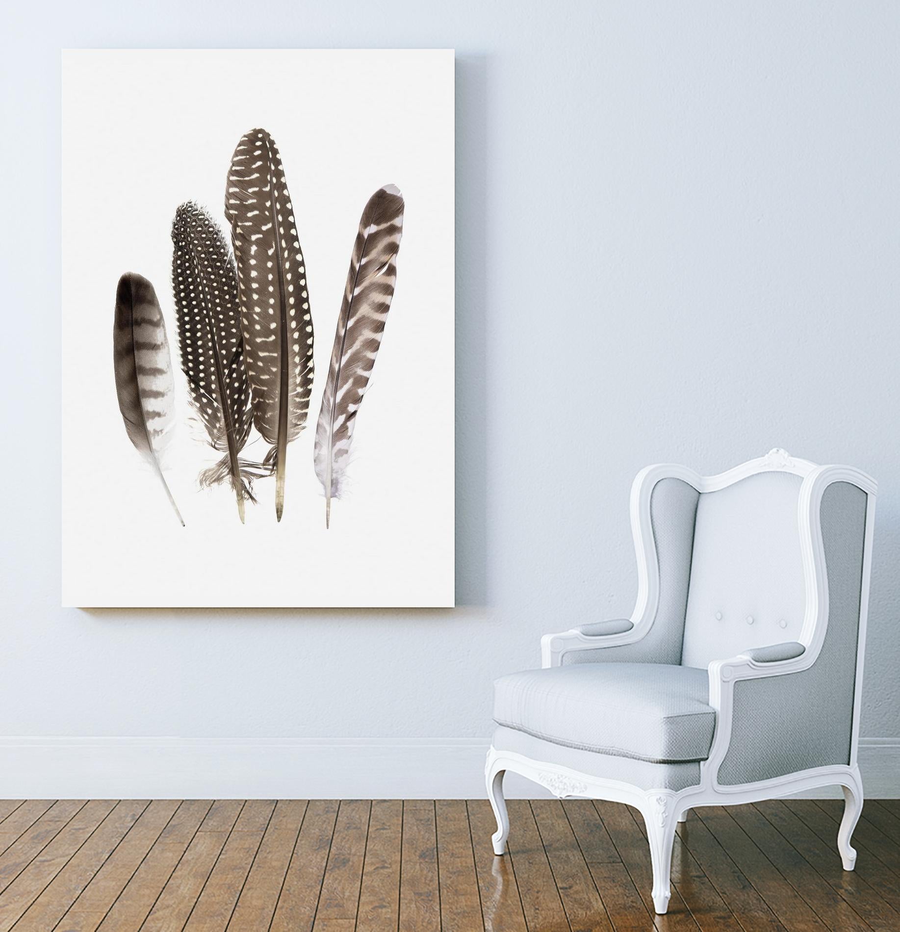 Feathers II by PI Studio on GIANT ART - brown animals