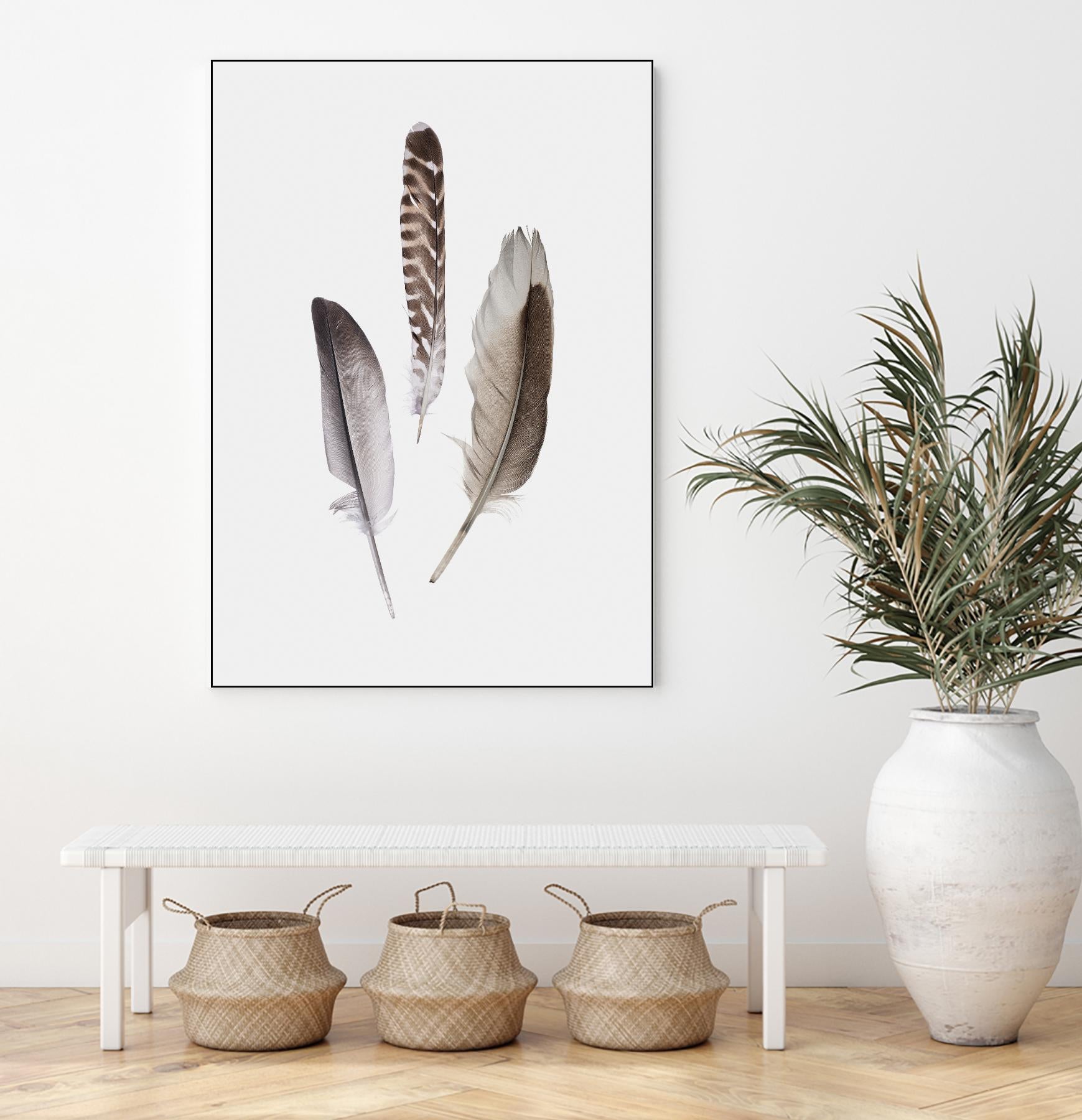 Feathers III by PI Studio on GIANT ART - brown animals