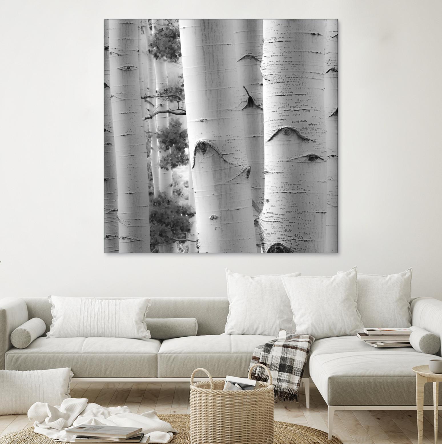 Birches in Grey I by Rick Cotter on GIANT ART - black trees