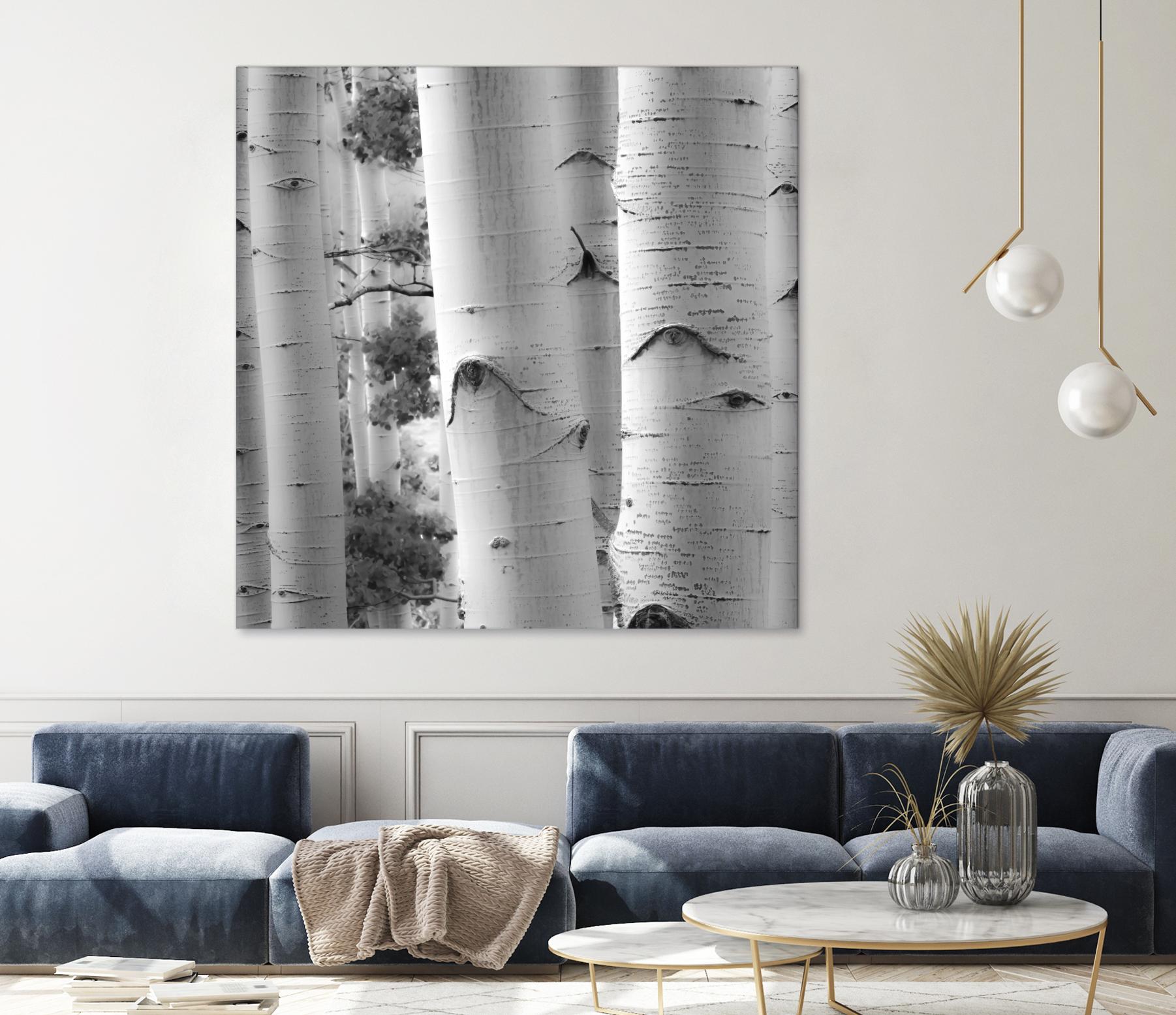 Birches in Grey I by Rick Cotter on GIANT ART - black trees