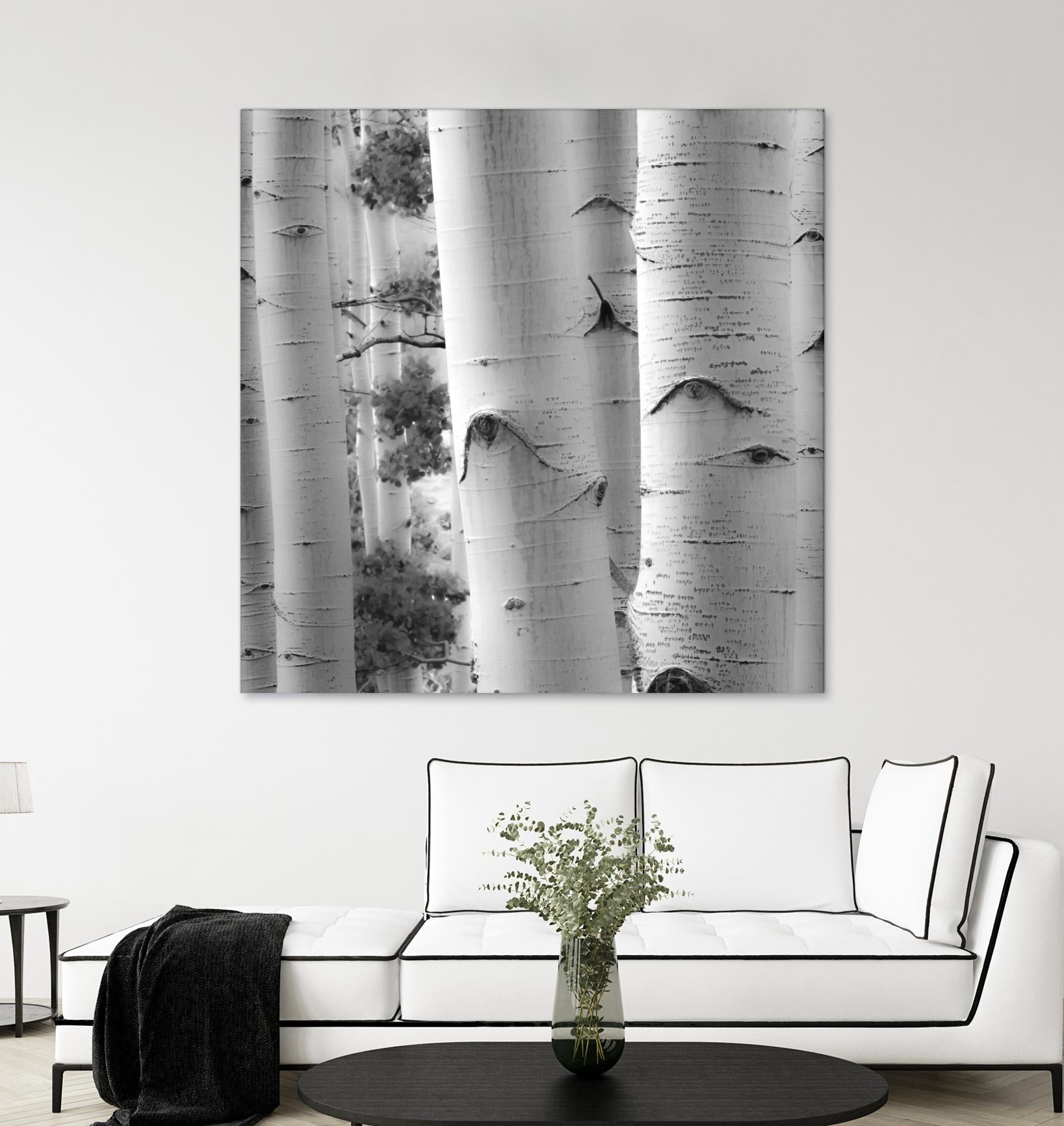 Birches in Grey I by Rick Cotter on GIANT ART - black trees