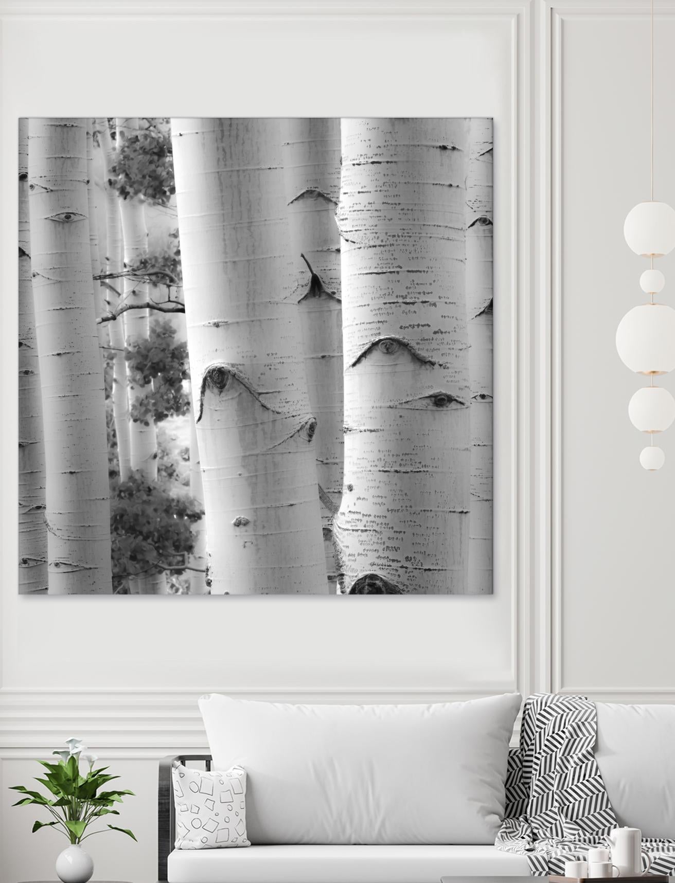Birches in Grey I by Rick Cotter on GIANT ART - black trees