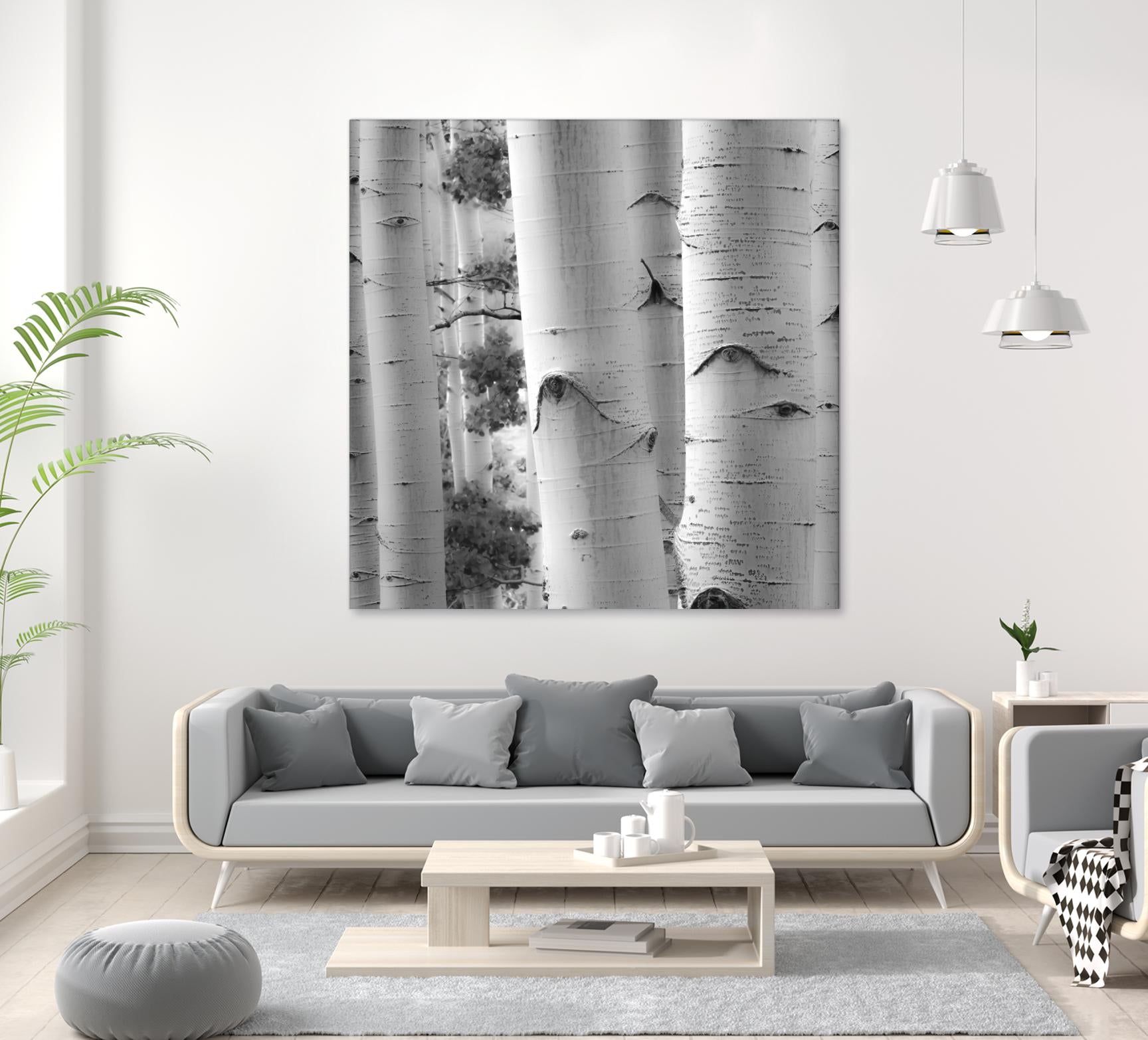 Birches in Grey I by Rick Cotter on GIANT ART - black trees