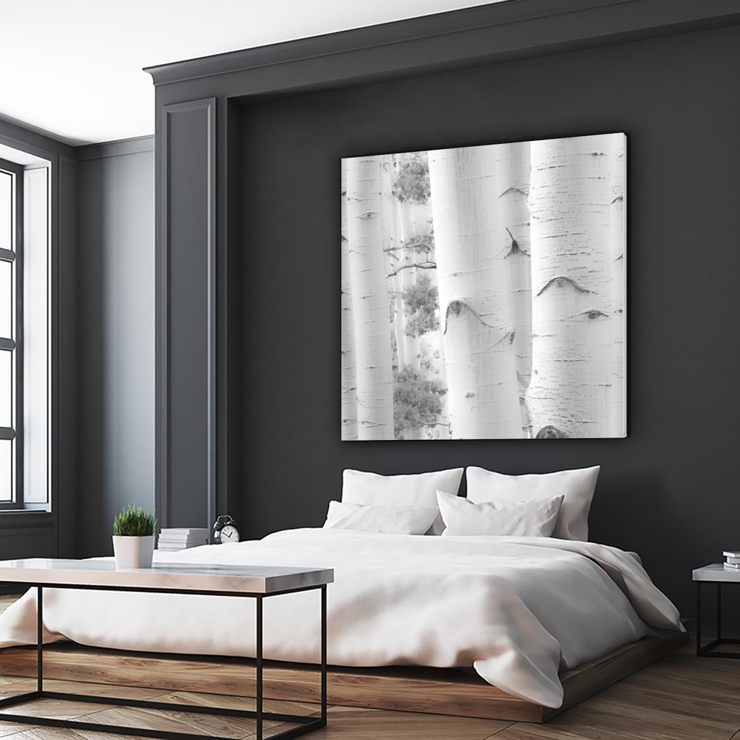 Birches in Grey I by Rick Cotter on GIANT ART - black trees