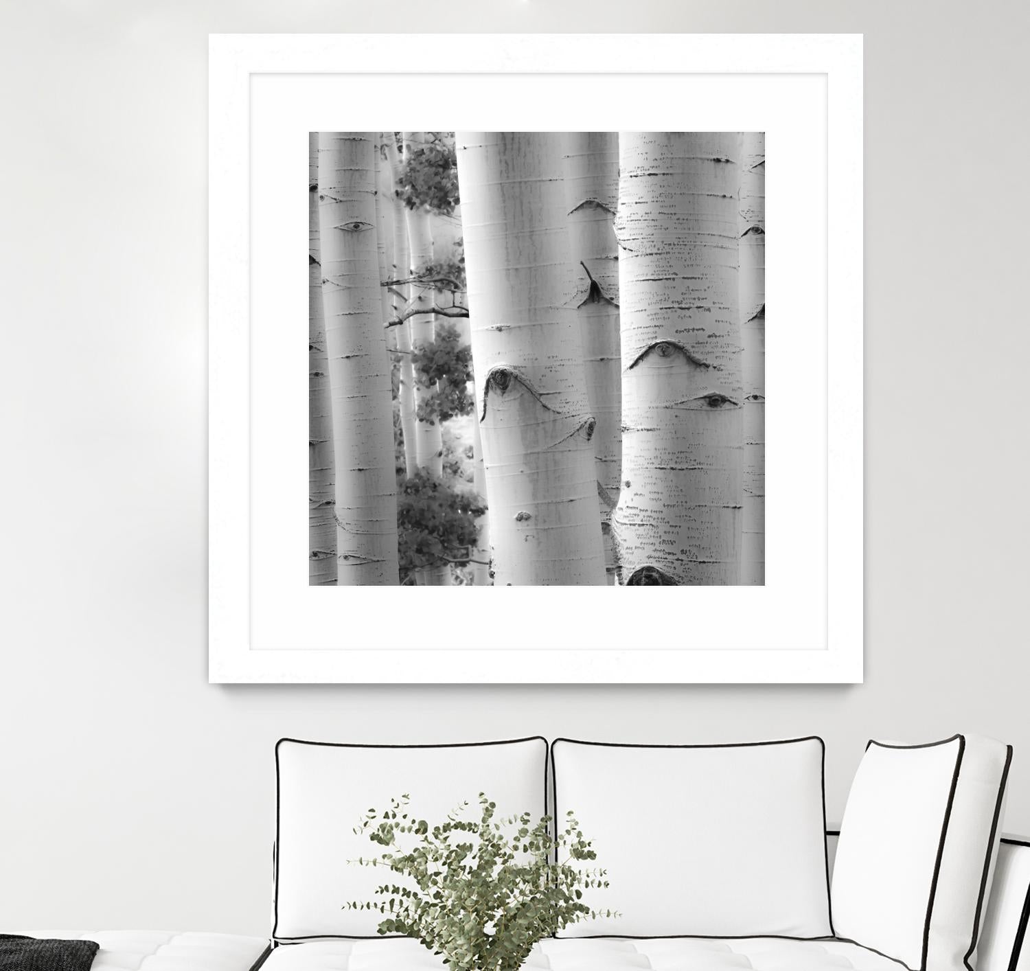 Birches in Grey I by Rick Cotter on GIANT ART - black trees
