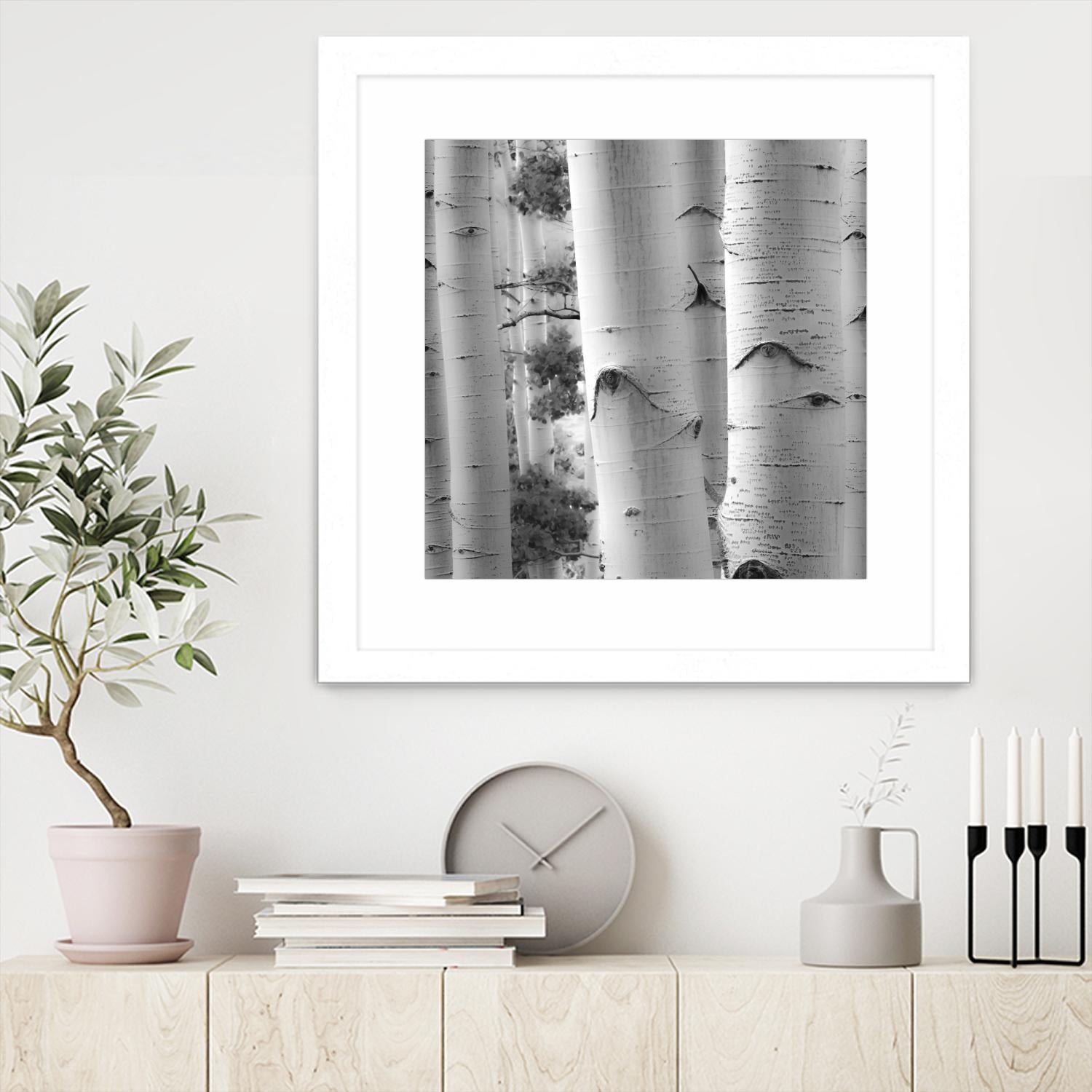 Birches in Grey I by Rick Cotter on GIANT ART - black trees