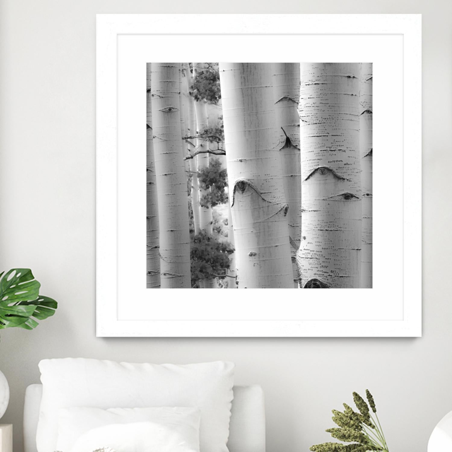 Birches in Grey I by Rick Cotter on GIANT ART - black trees