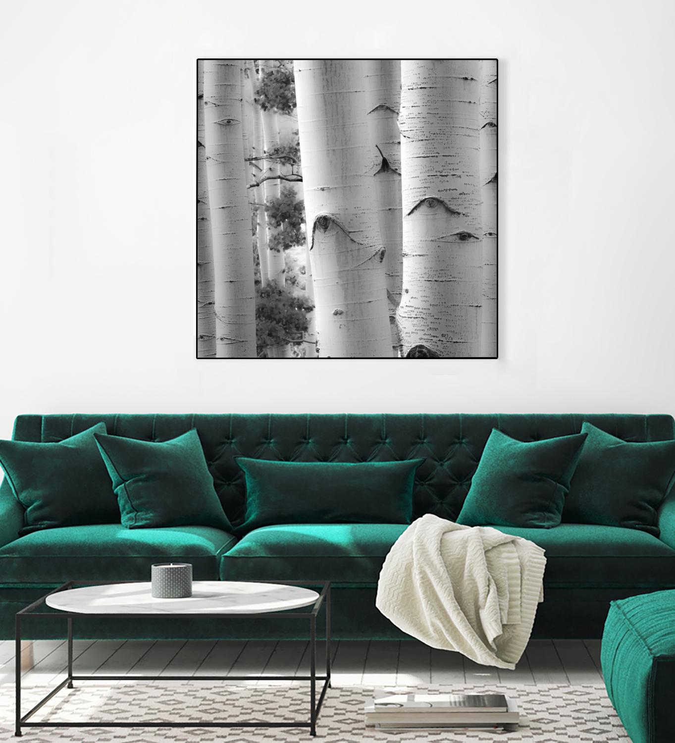 Birches in Grey I by Rick Cotter on GIANT ART - black trees