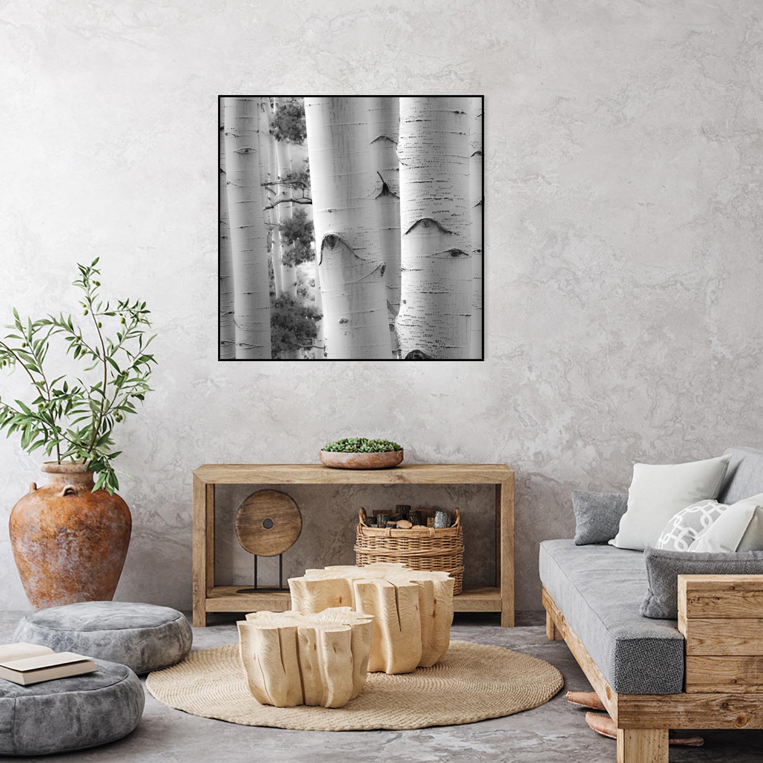 Birches in Grey I by Rick Cotter on GIANT ART - black trees