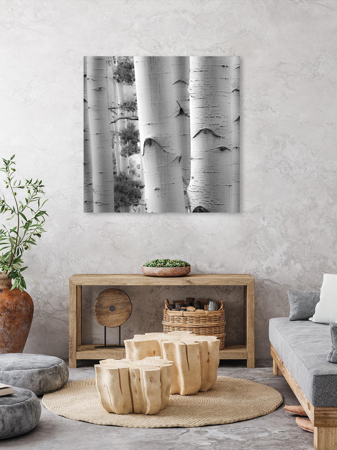 Birches in Grey I by Rick Cotter on GIANT ART - black trees
