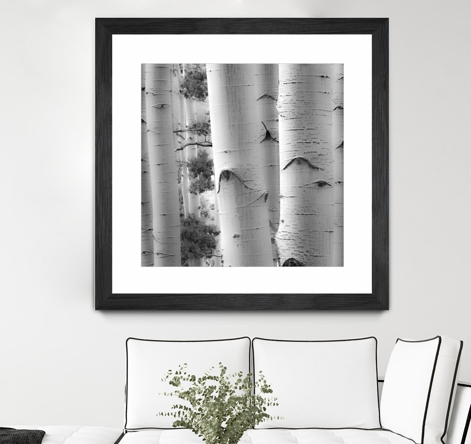 Birches in Grey I by Rick Cotter on GIANT ART - black trees