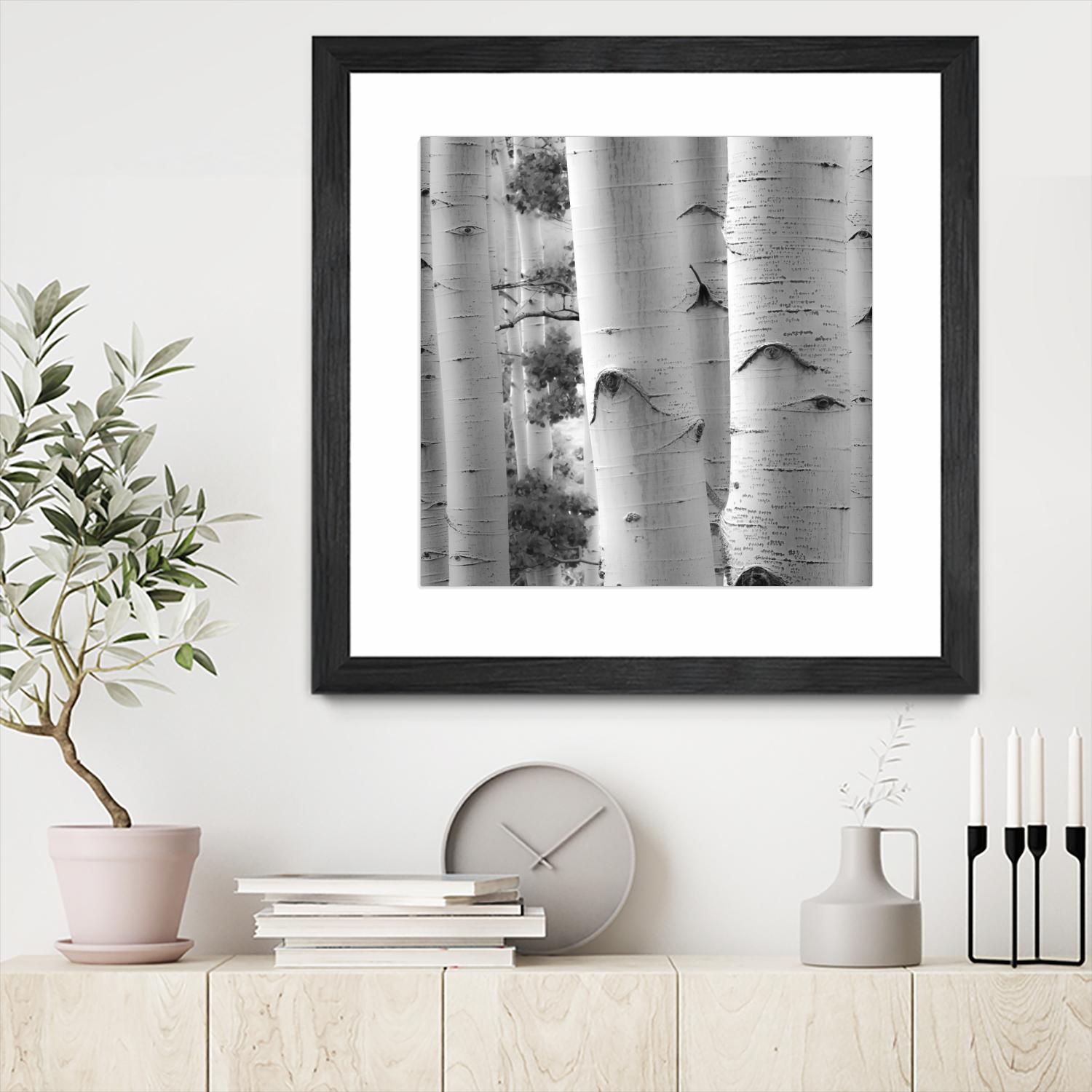 Birches in Grey I by Rick Cotter on GIANT ART - black trees
