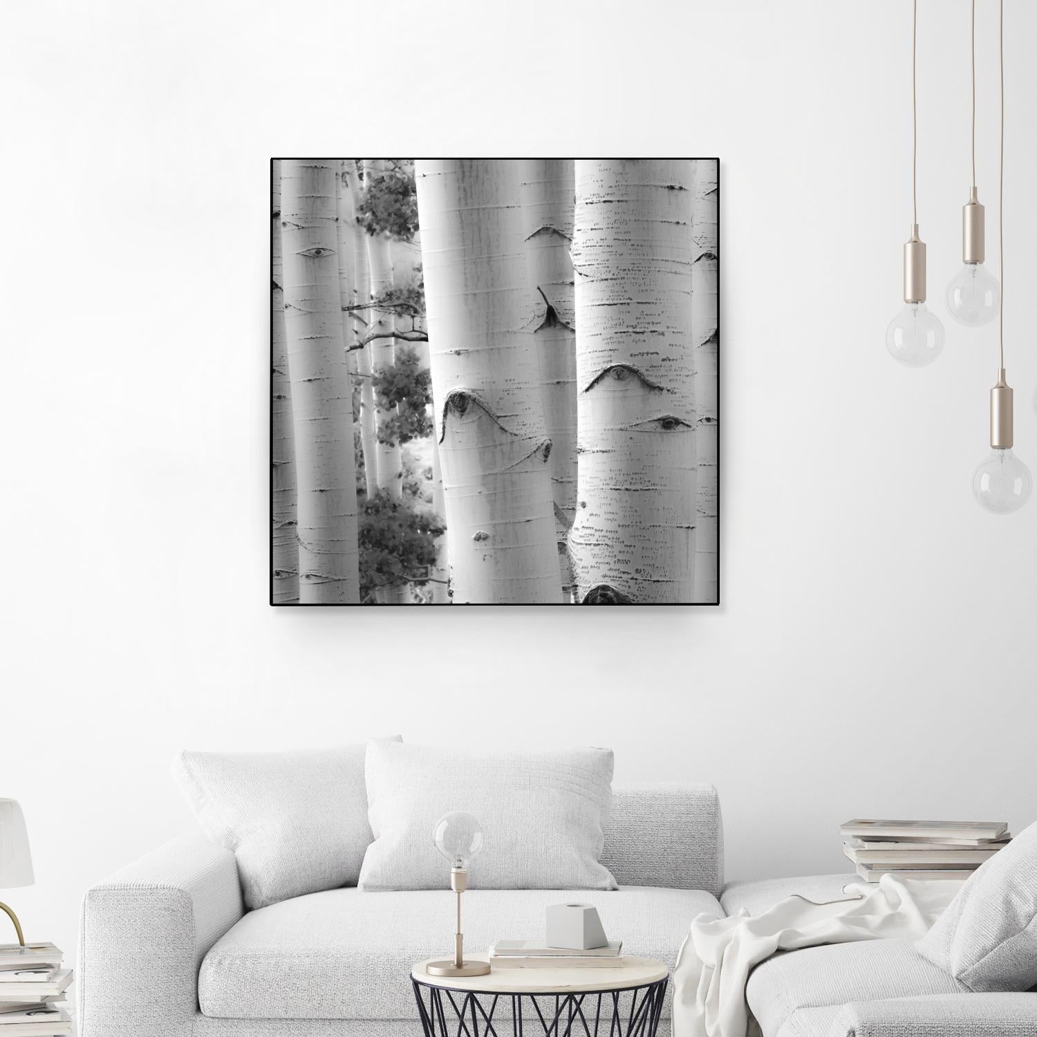 Birches in Grey I by Rick Cotter on GIANT ART - black trees