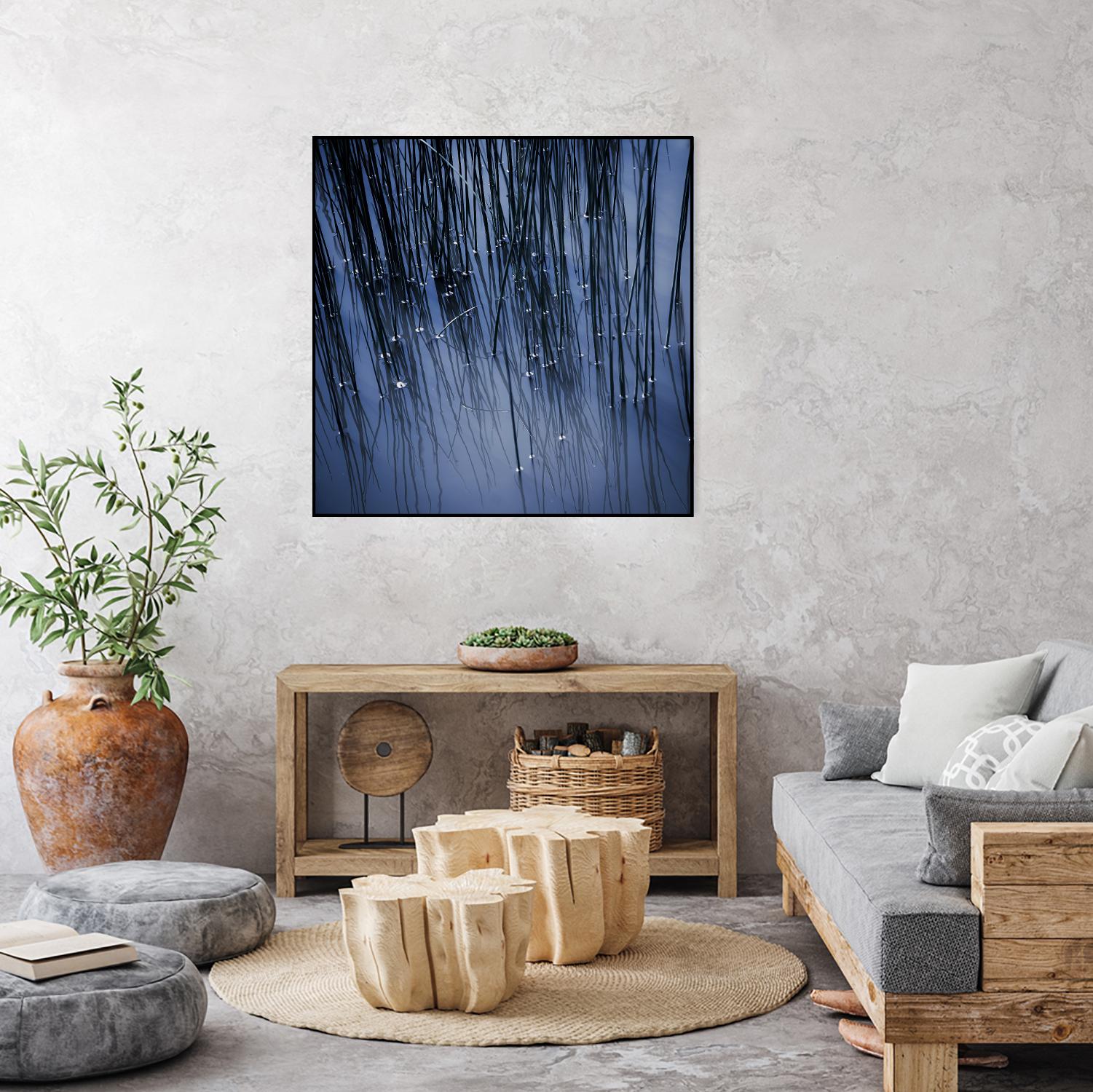 Lily Pond Blue III by Rebecca Cozart on GIANT ART - black photo art