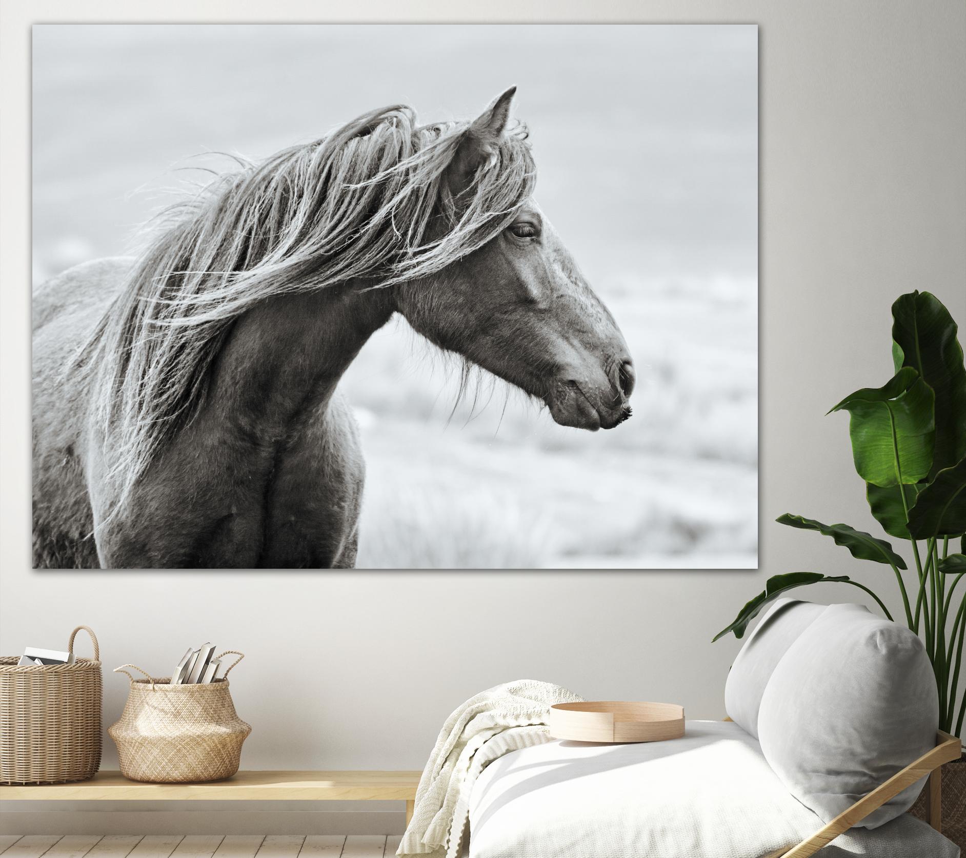 The Fell by Esther Marie on GIANT ART - white animals horse