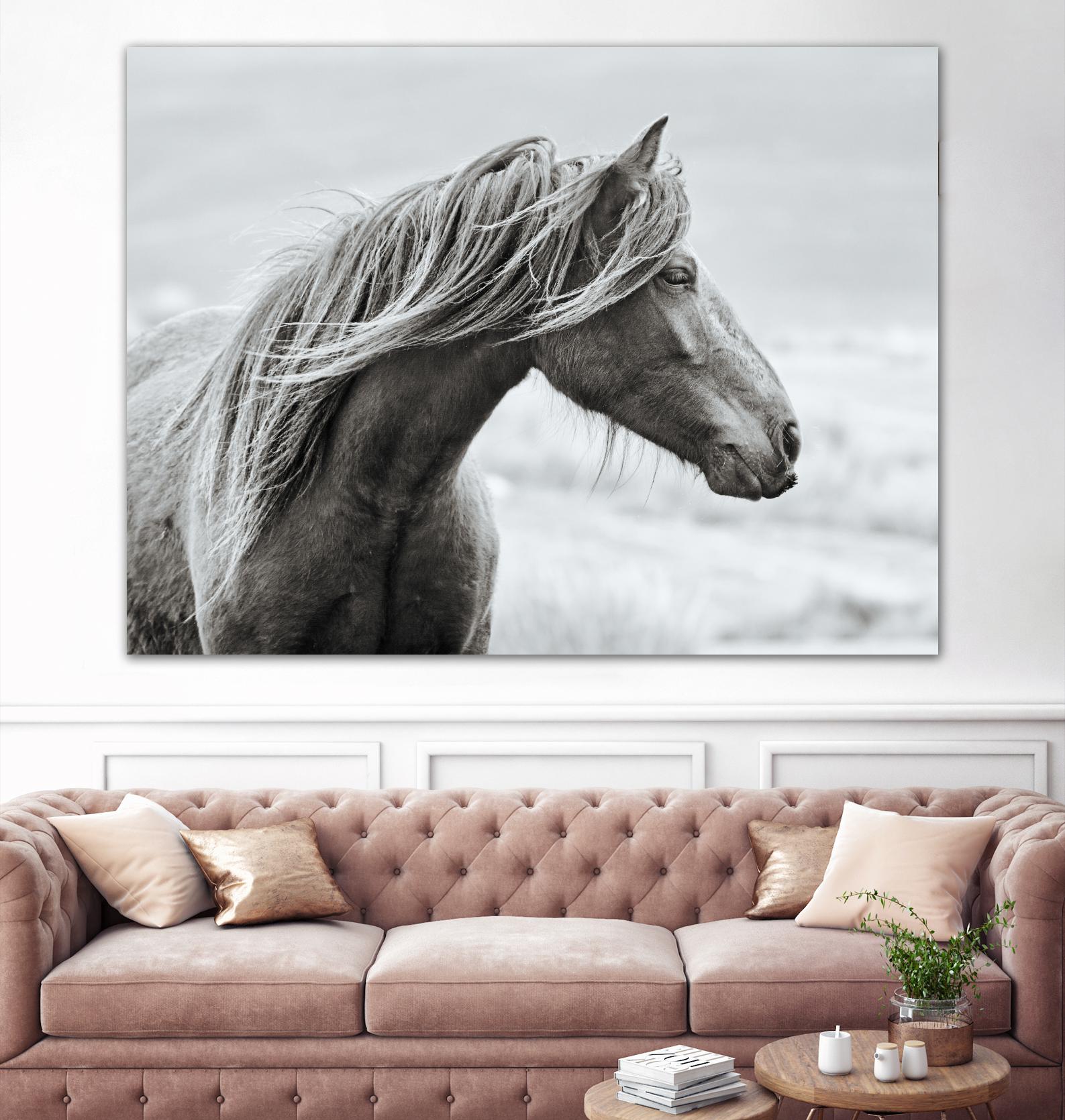 The Fell by Esther Marie on GIANT ART - white animals horse