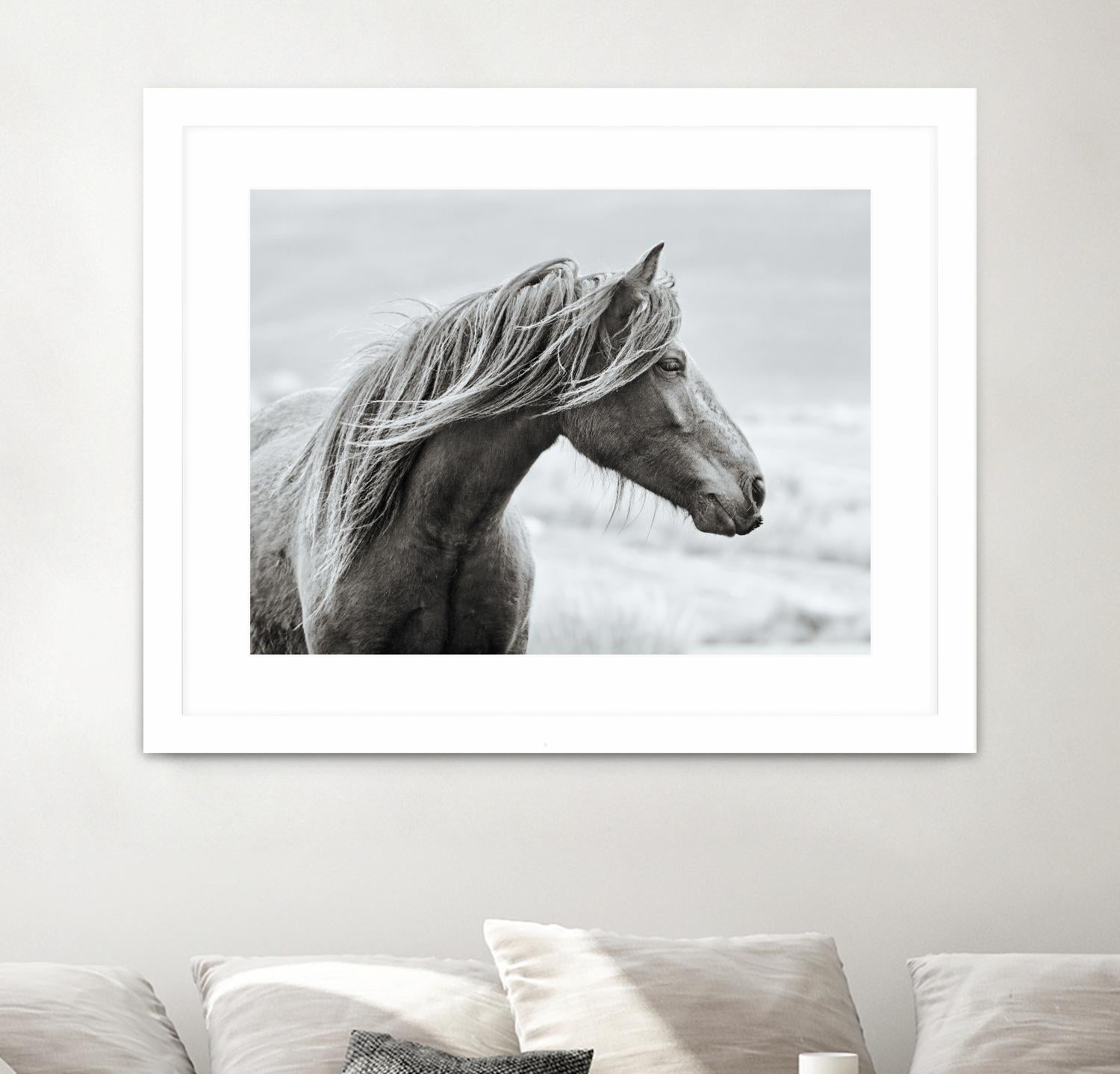 The Fell by Esther Marie on GIANT ART - white animals horse