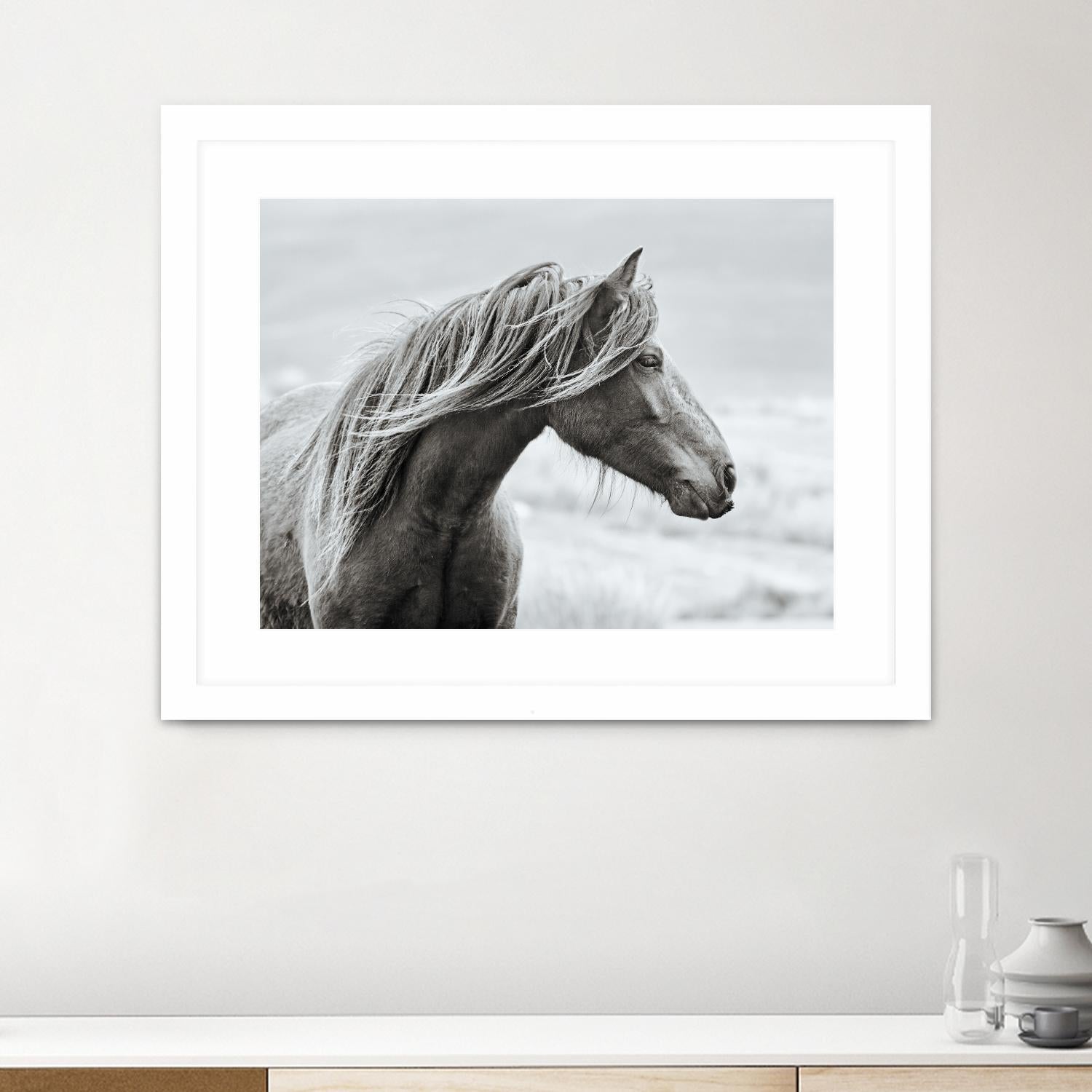 The Fell by Esther Marie on GIANT ART - white animals horse